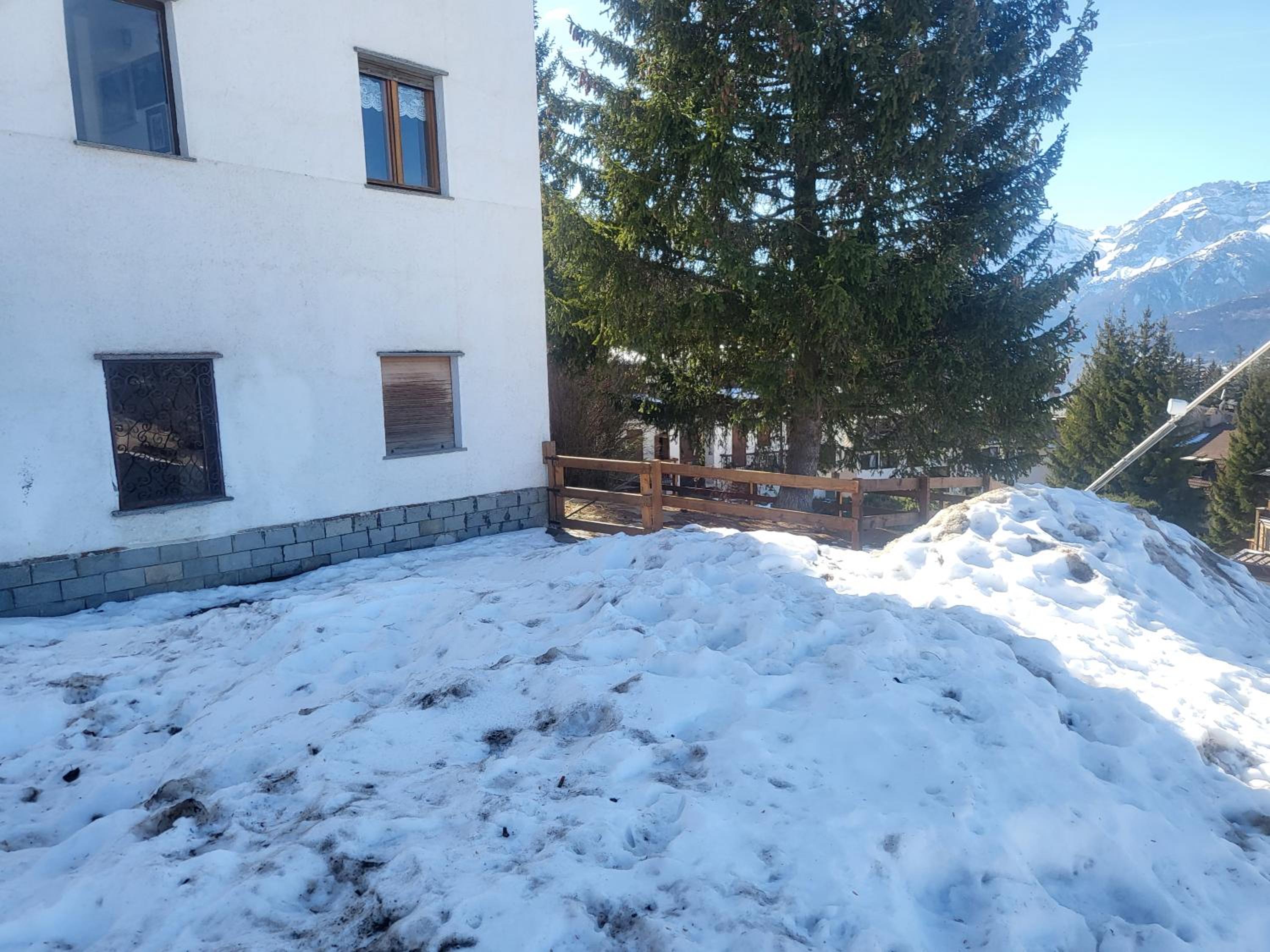 Alloggio "Pineta" sulle piste di clotex view 2