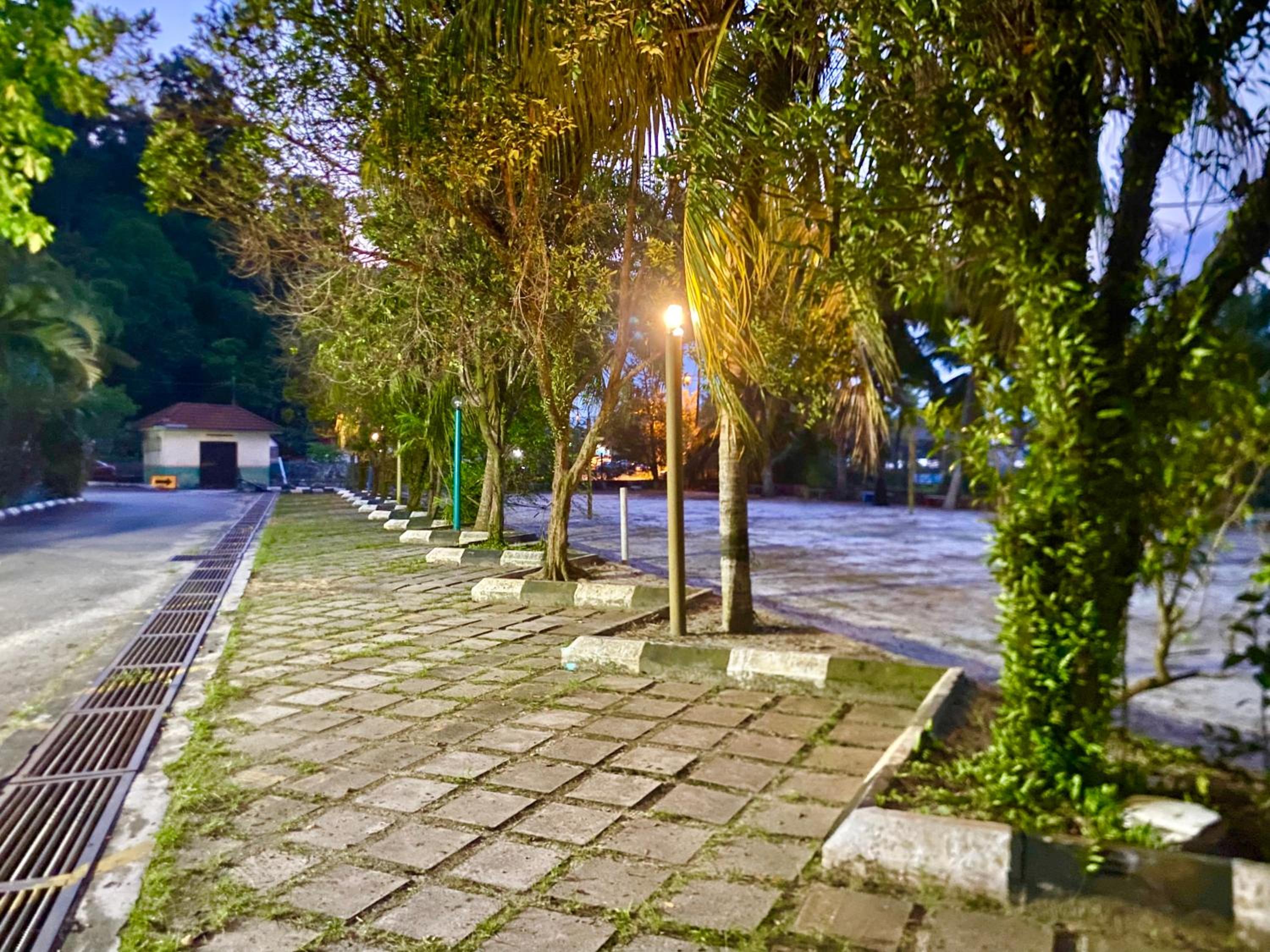 Photo 17