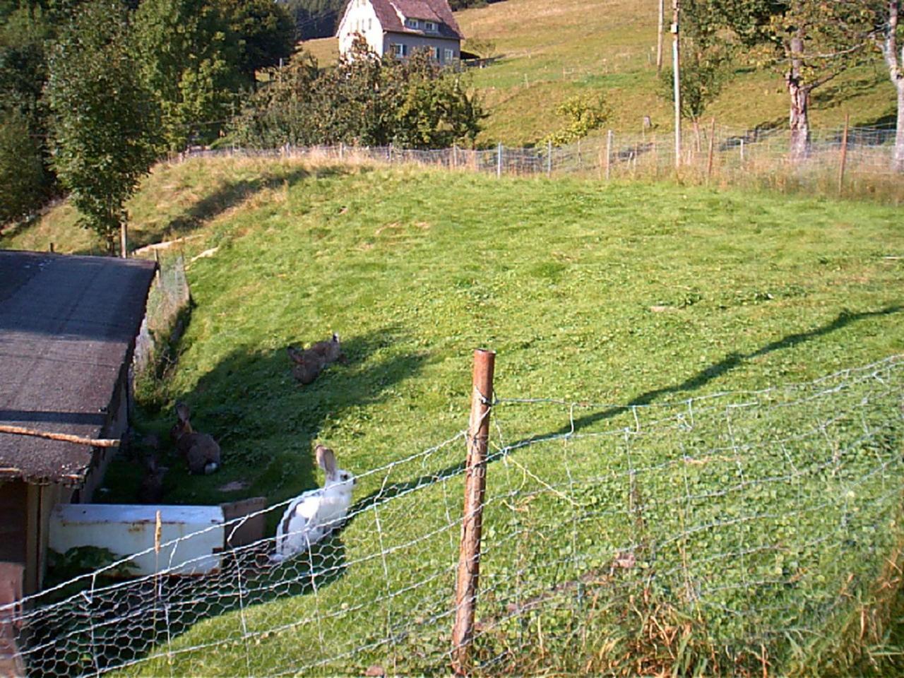 Gasthof Erlenhof