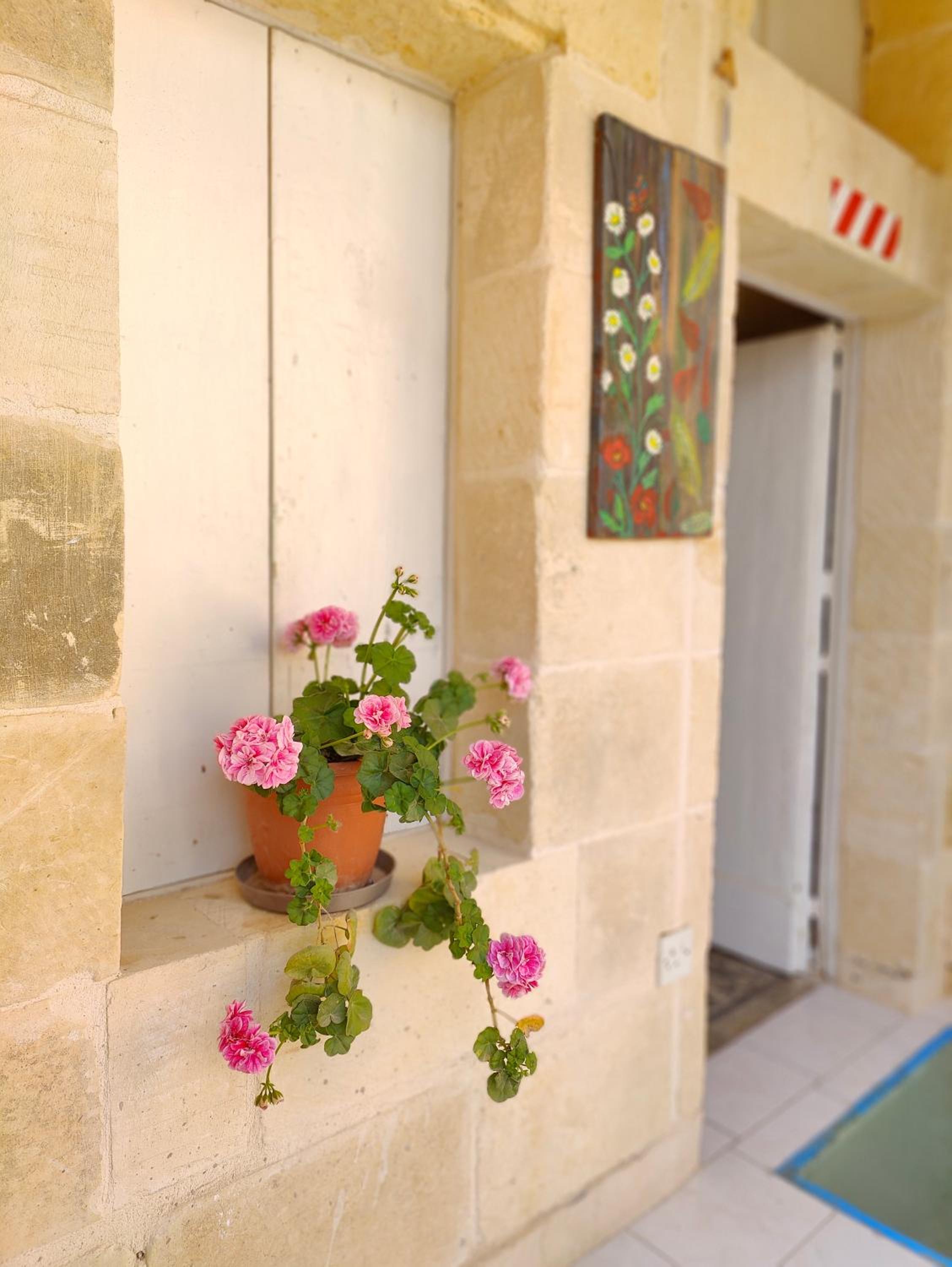 Gawhra B&B, photo 38