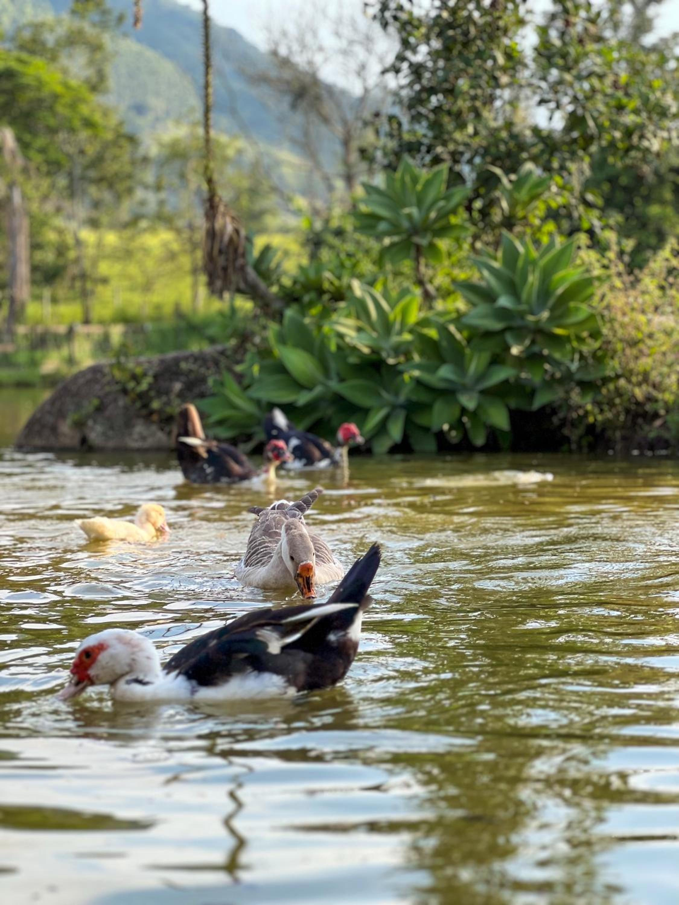 Seu Refúgio Rural Piscina Privativa e Natureza