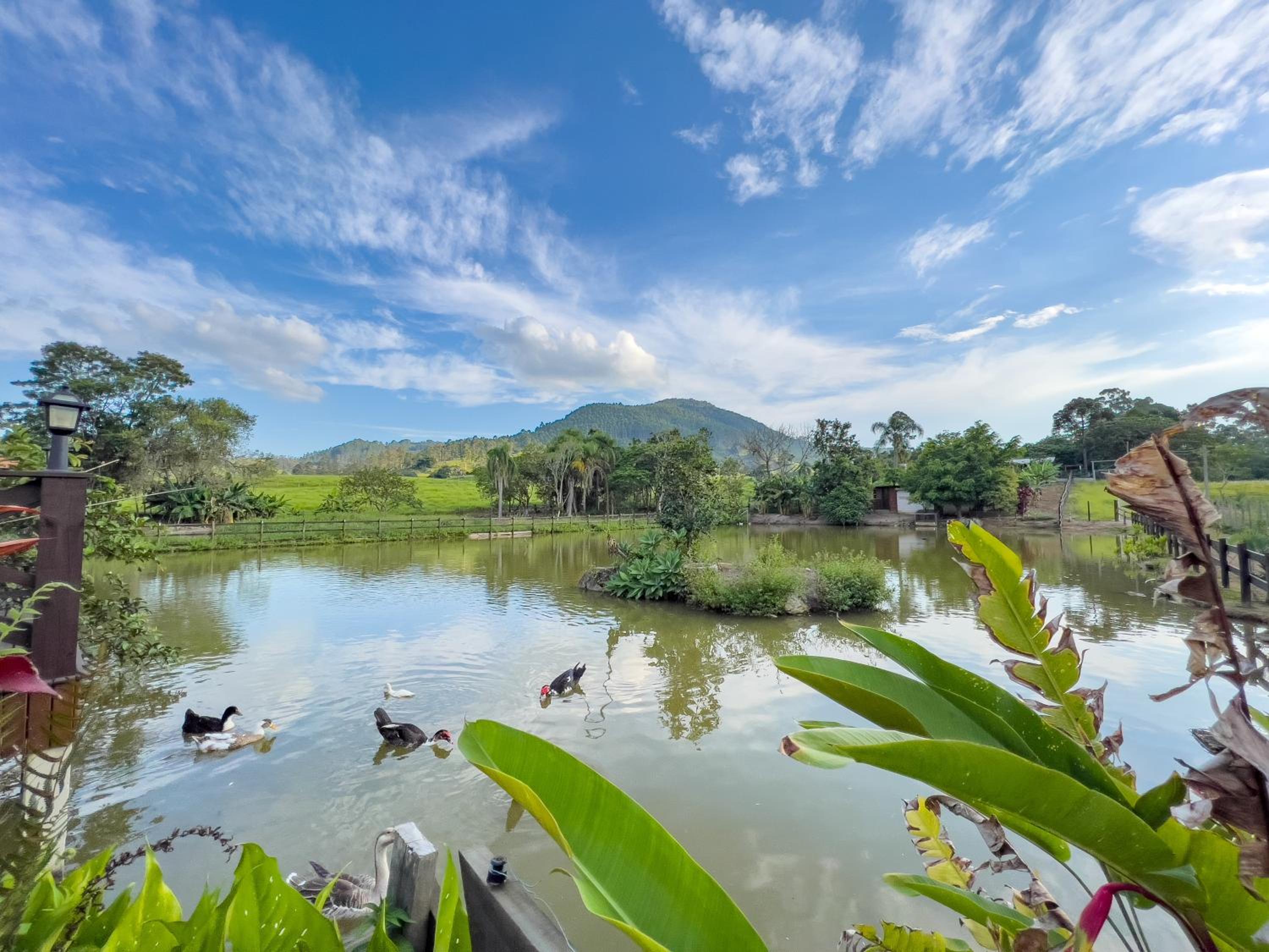 Seu Refúgio Rural Piscina Privativa e Natureza