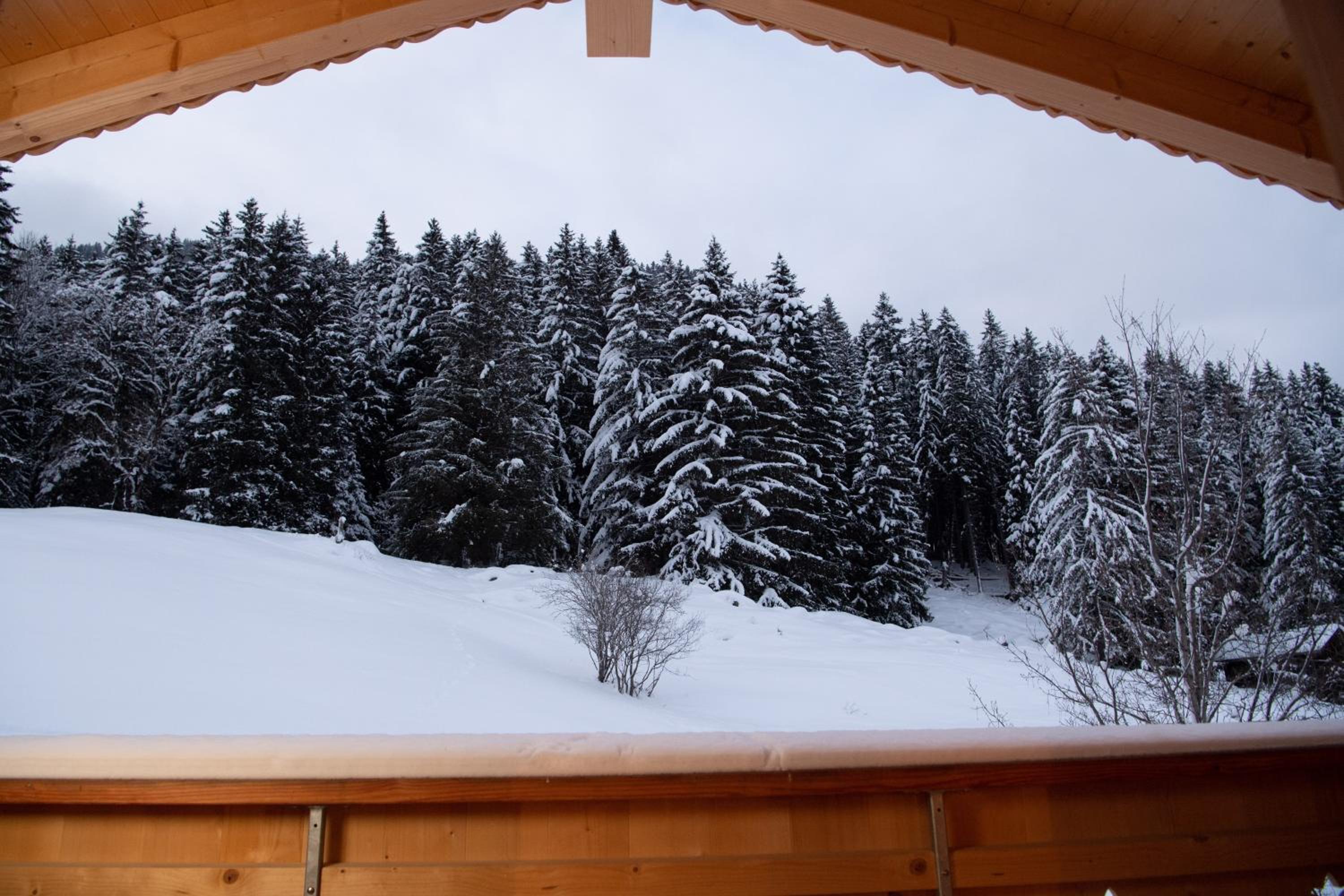 Chalet mit Kino und Jacuzzi in Gsteig b. Gstaad
