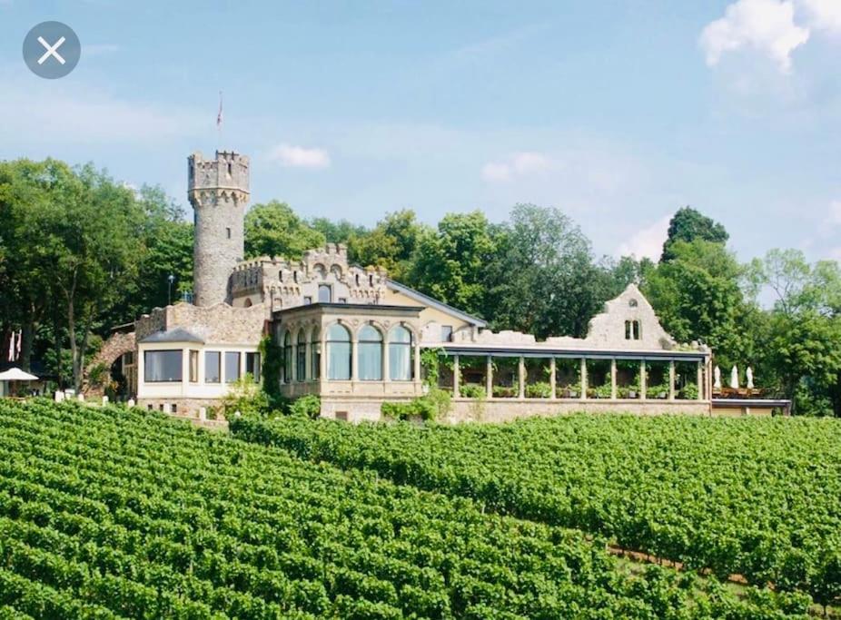 1.0 Relaxen am Kloster Johannisberg