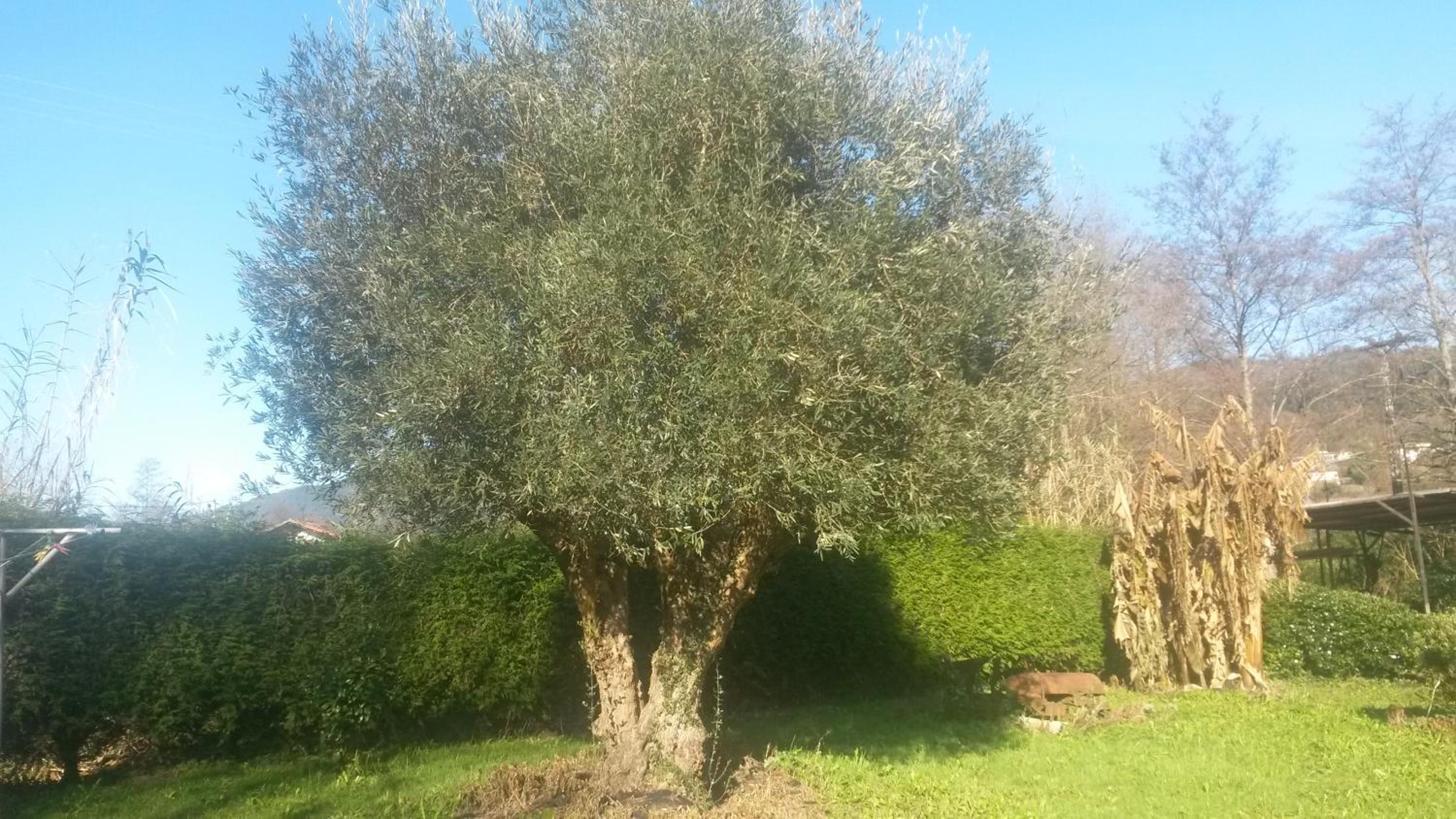 Ibarrondo Etxea, photo 10