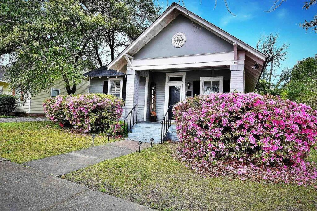 Charming and cozy home by a Historic District