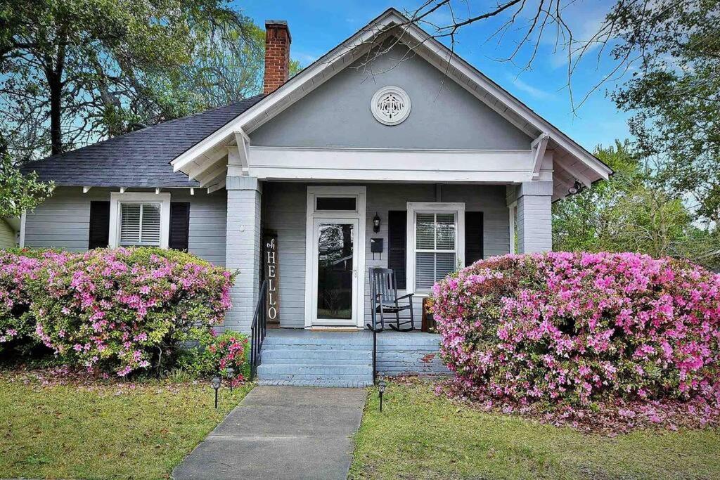 Charming and cozy home by a Historic District
