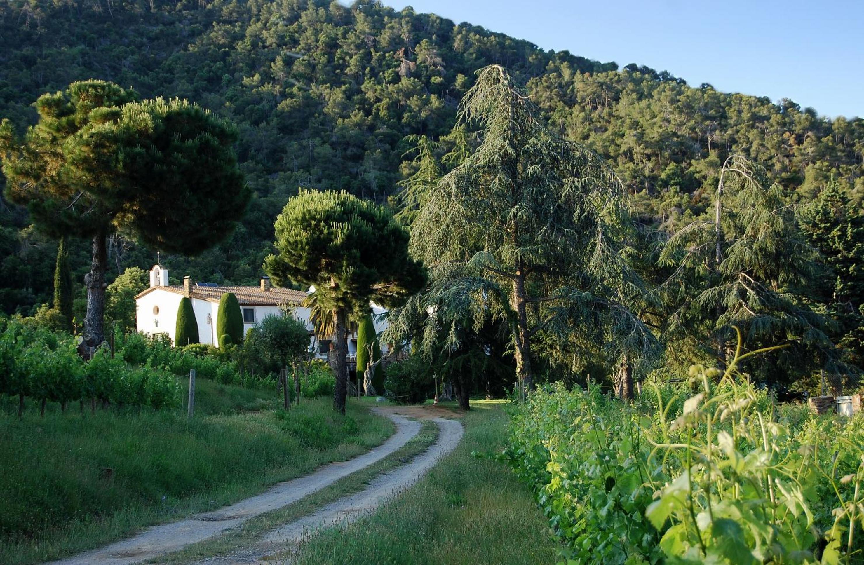 Finca Bell-Lloc