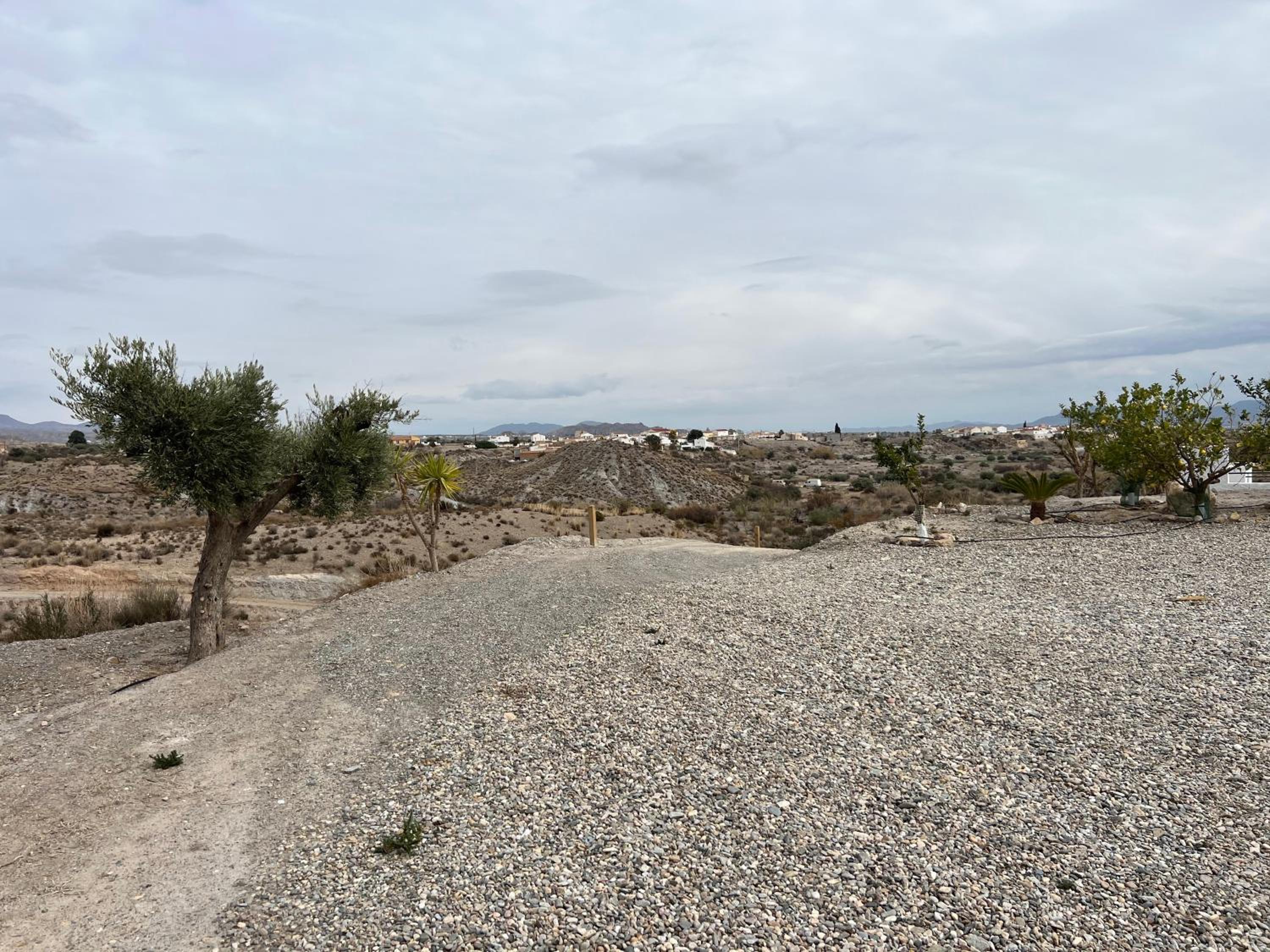 Photo 45