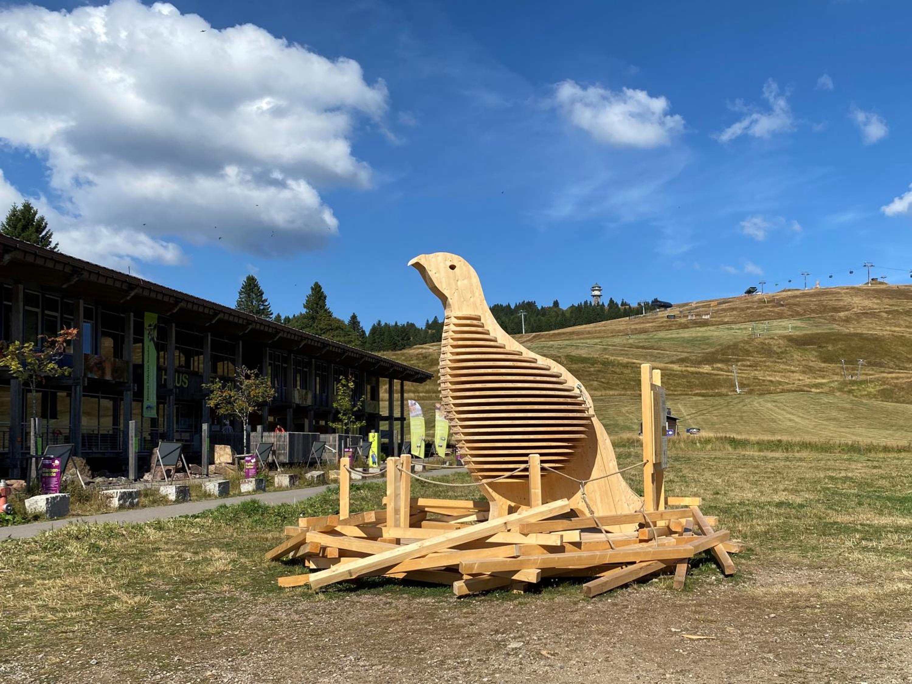 Ferienwohnung Schwarzwaldnest Feldberg