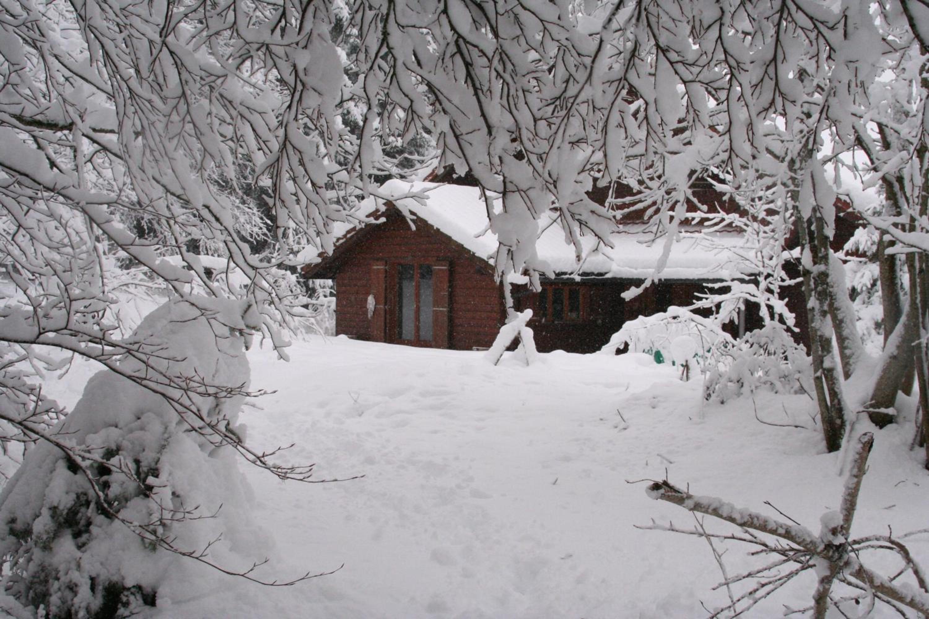 Chalet OTT - apartment in the mountains with sauna view 5