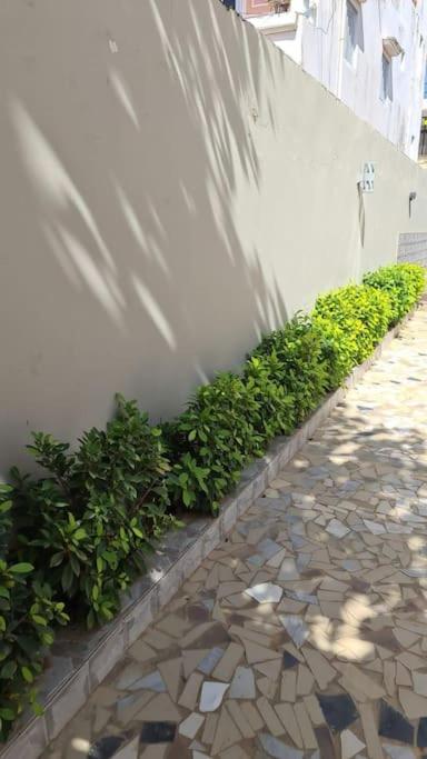 Maria house saly