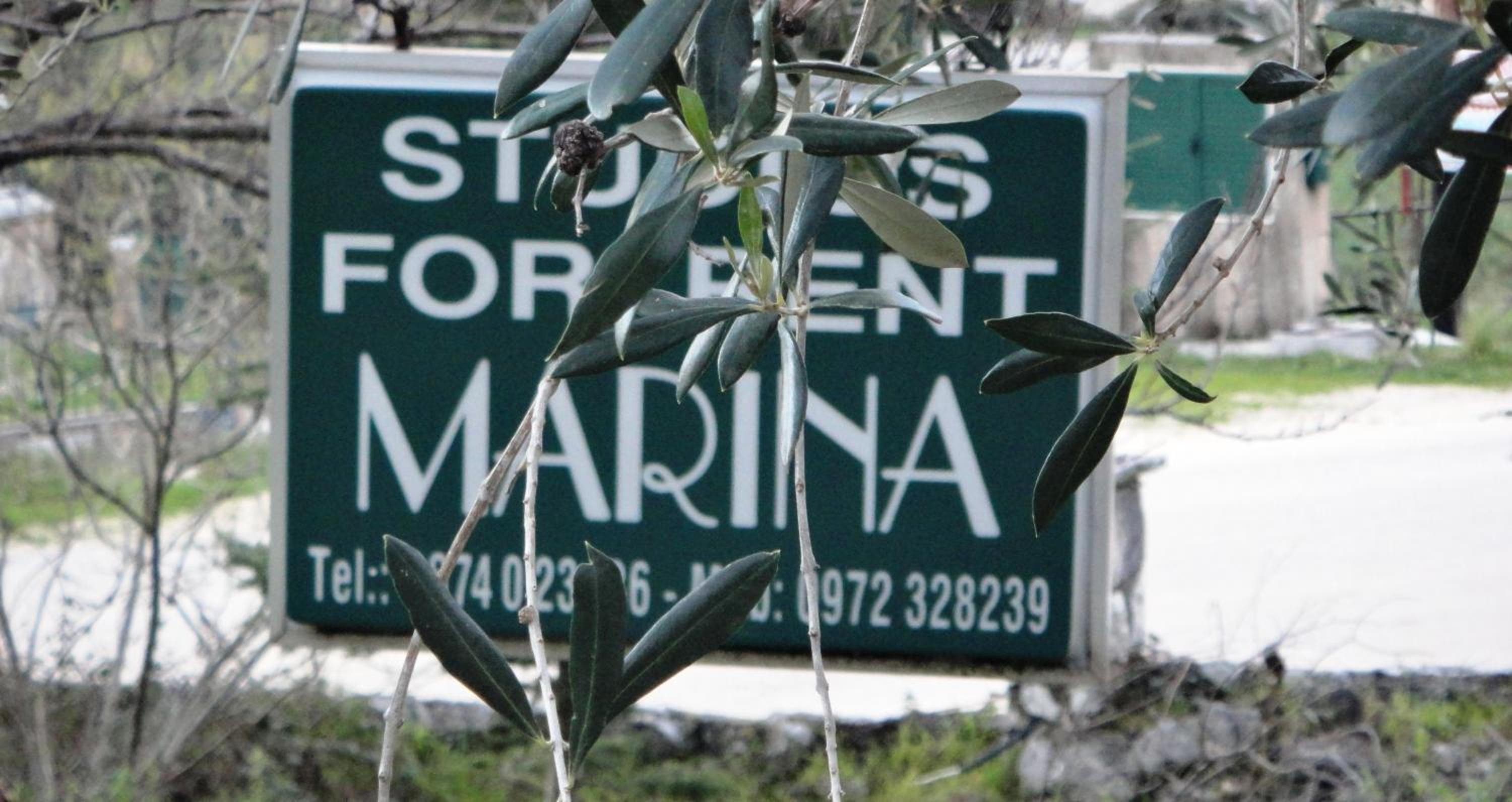 Marina Studios