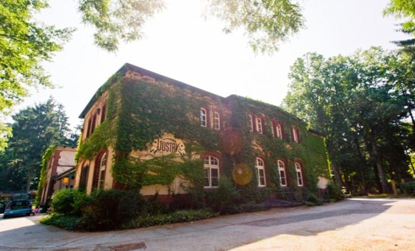 Landhotel Gustav - Property Image 13