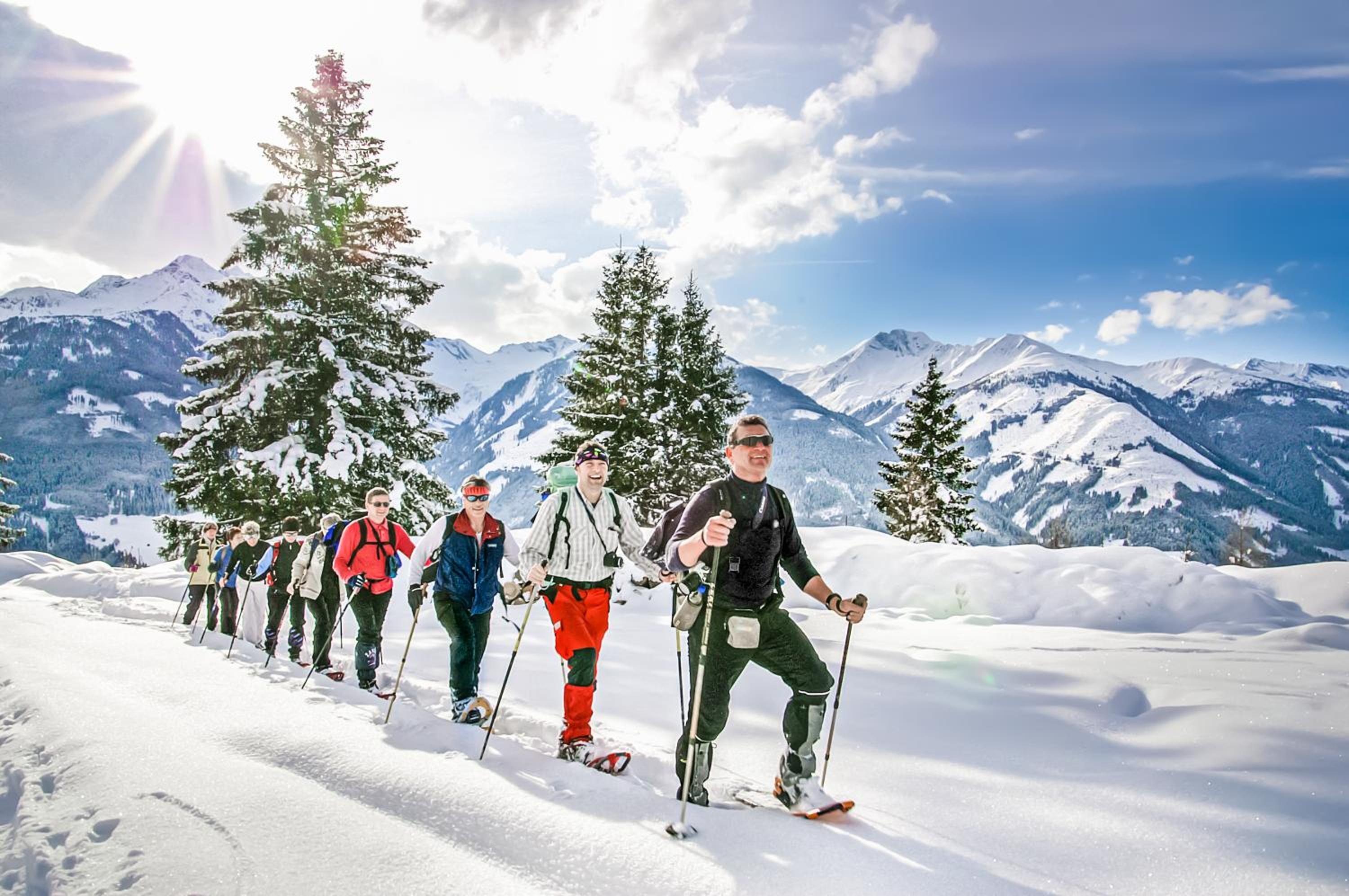 Alpen Chalets Zell am See