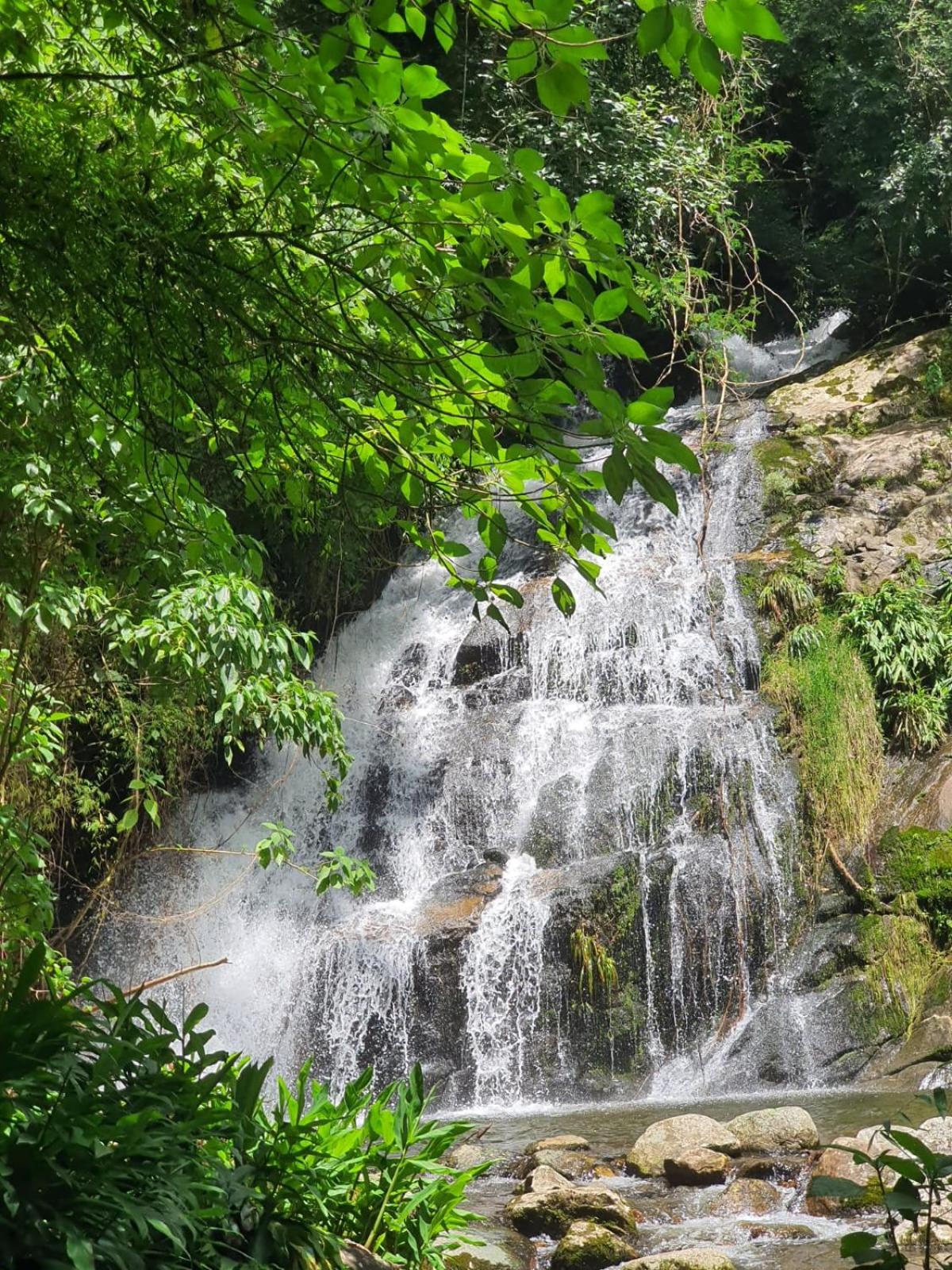 Chalé da Cachoeira - Cachoeira particular dentro da hospedagem