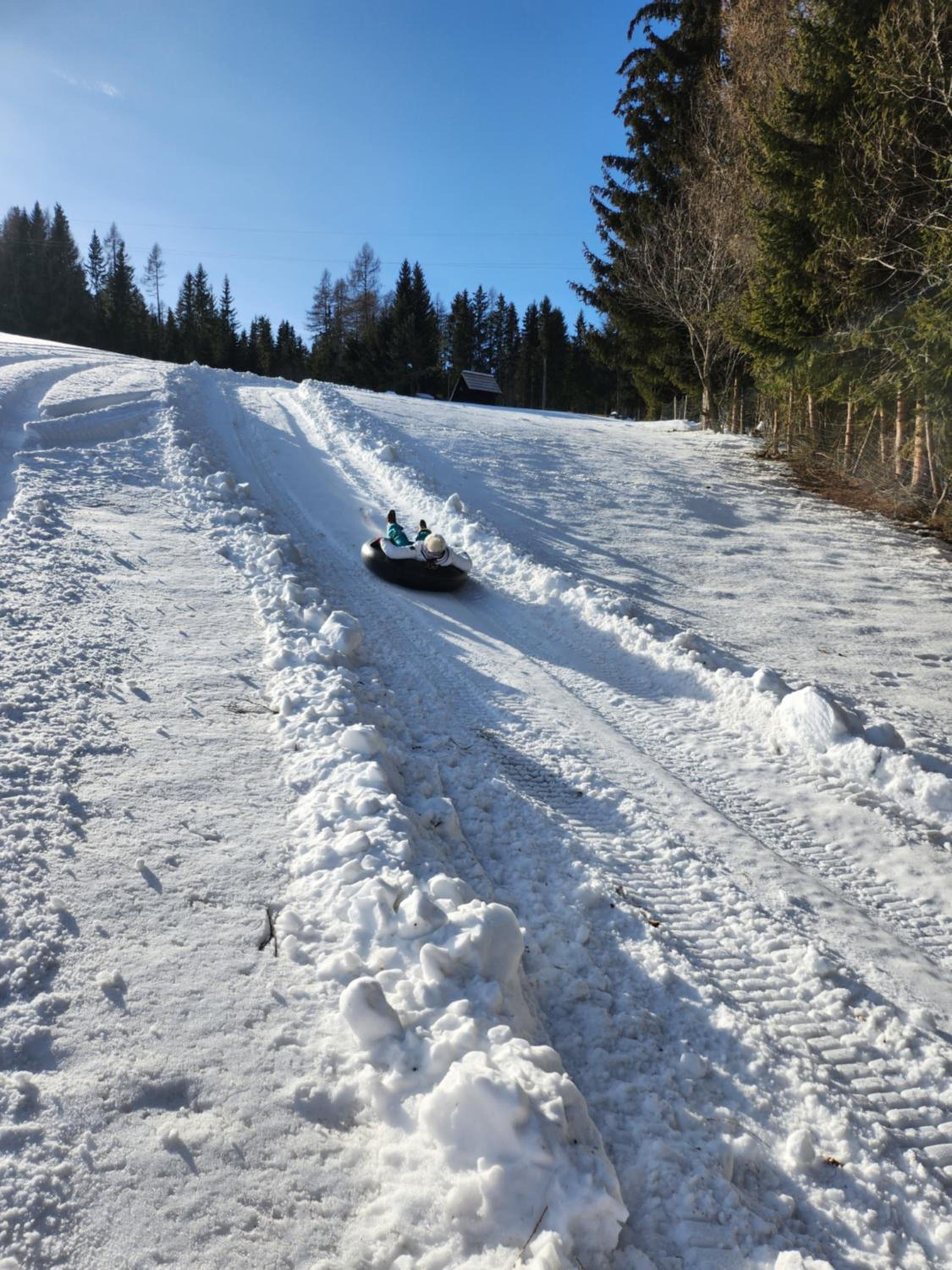 Urige Waldbienenhütte