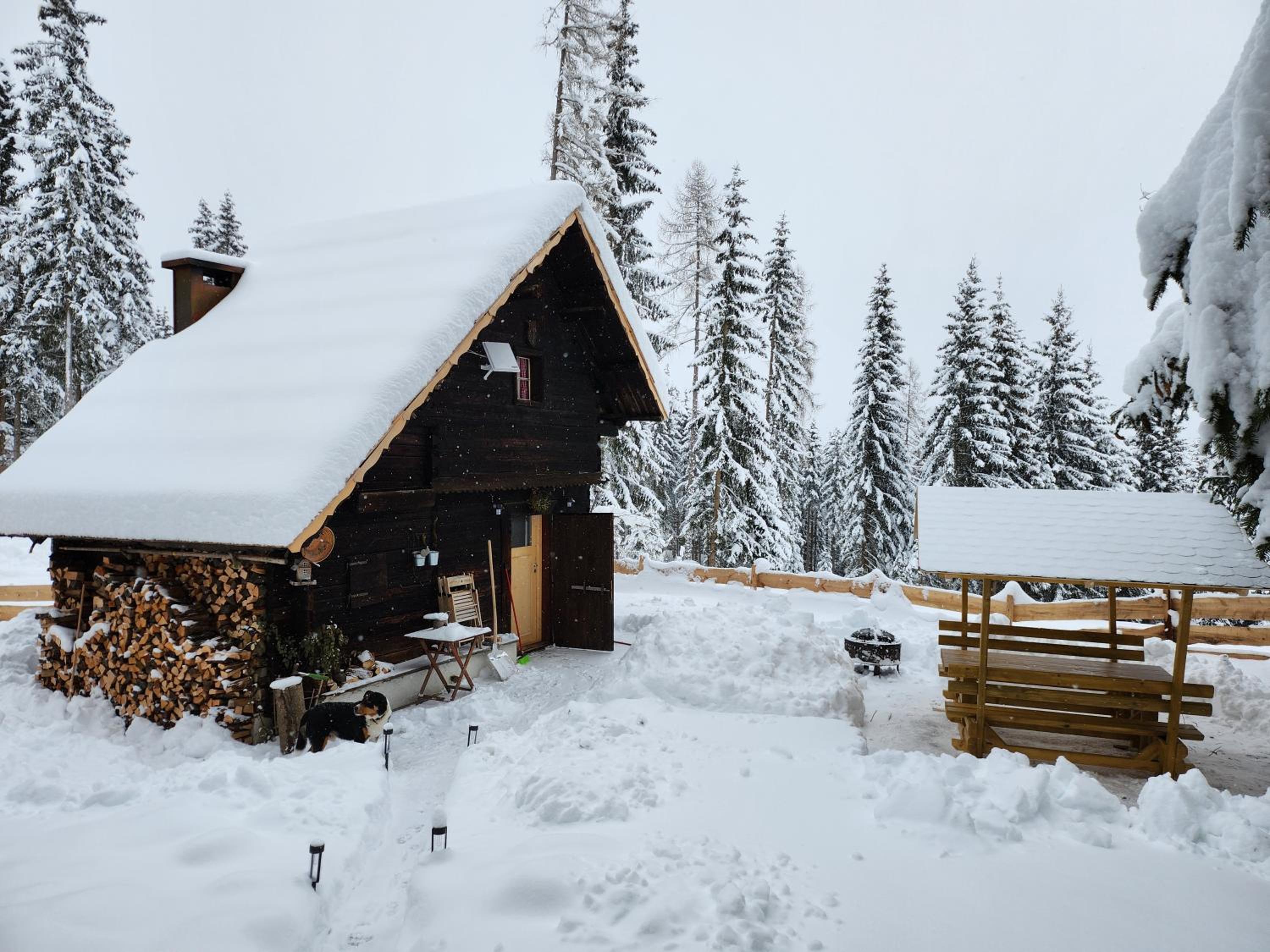 Urige Waldbienenhütte