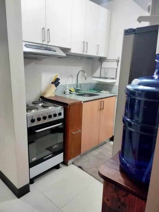 Cubao Manhattanheights U24B TD view 5