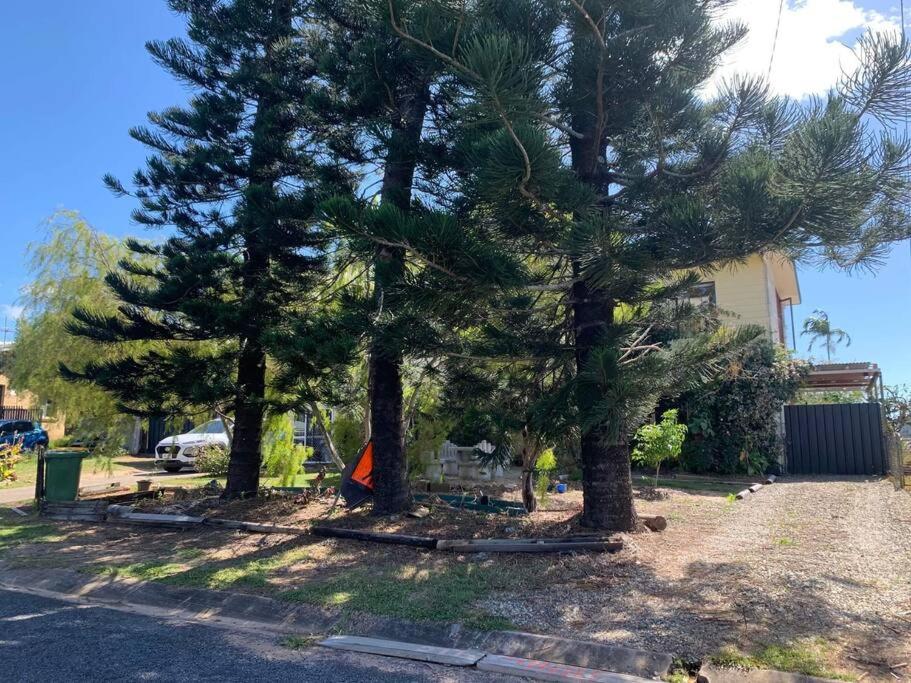Downstairs only. 3 Queen BR with private access.