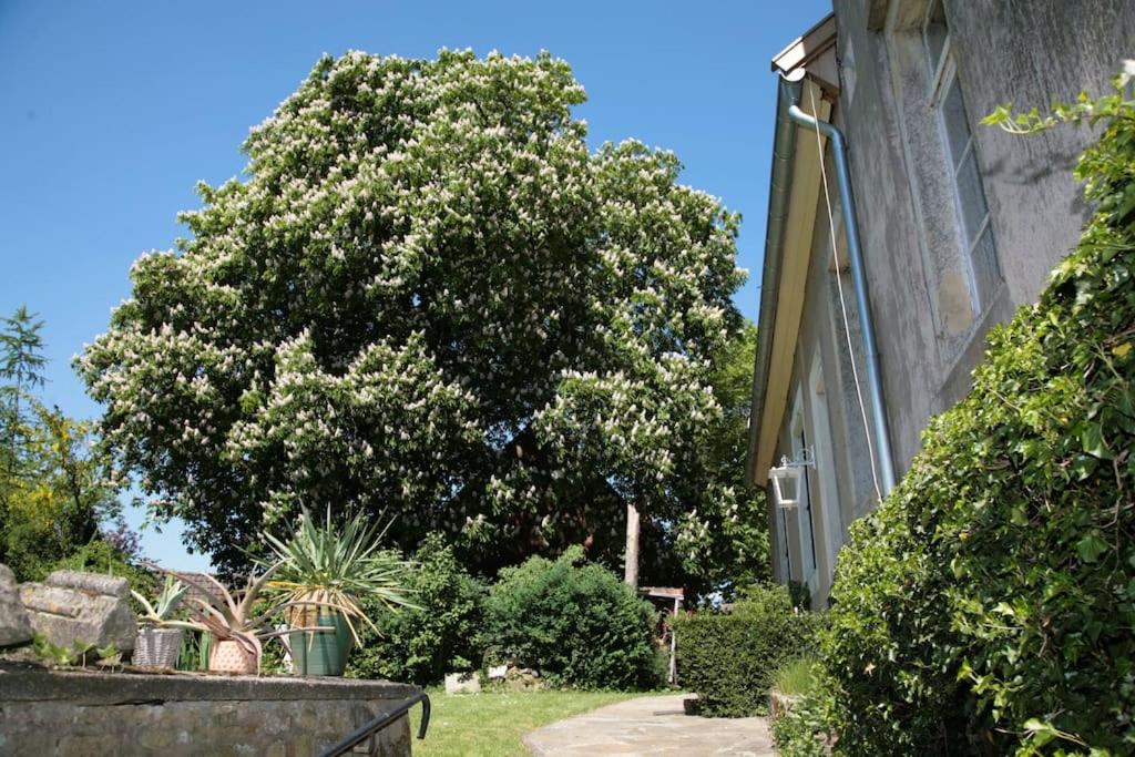 Haus Keppelborg: ZI Rosina mit Burggartenblick