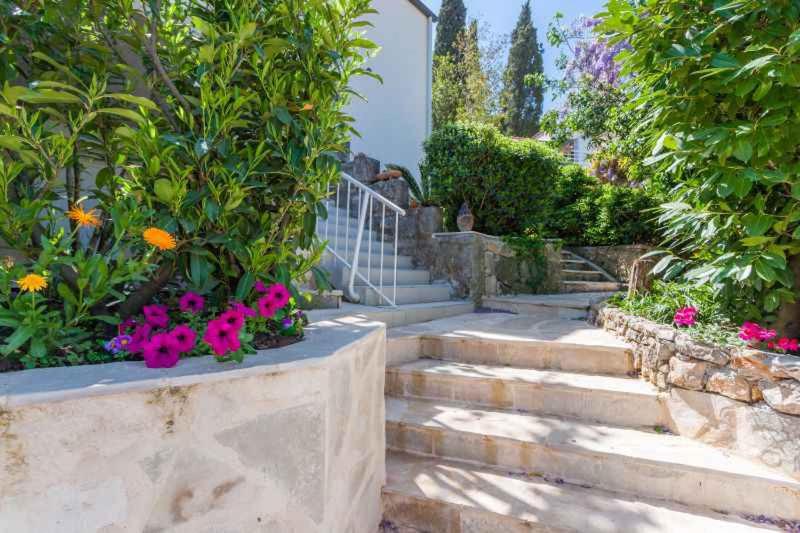 Apartment in Dubrovnik 43526