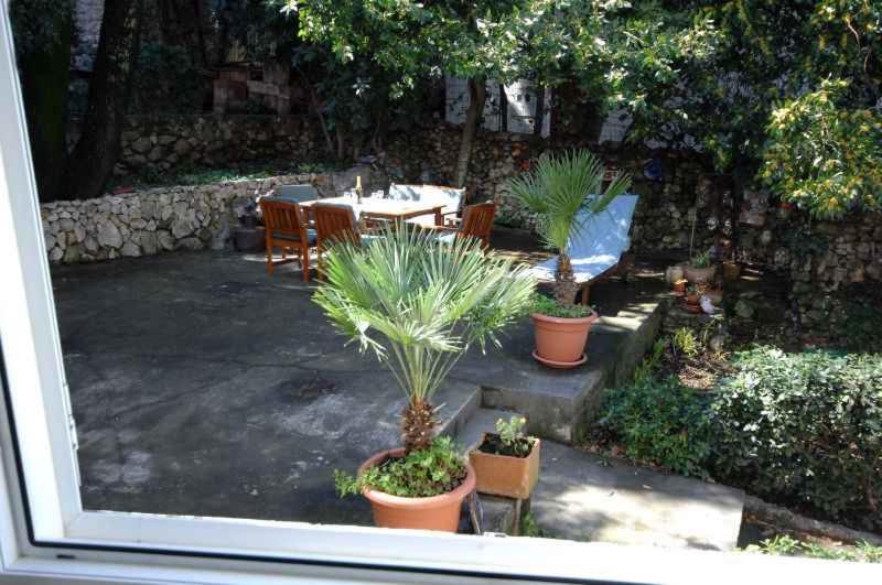 Apartment in Dubrovnik 43526