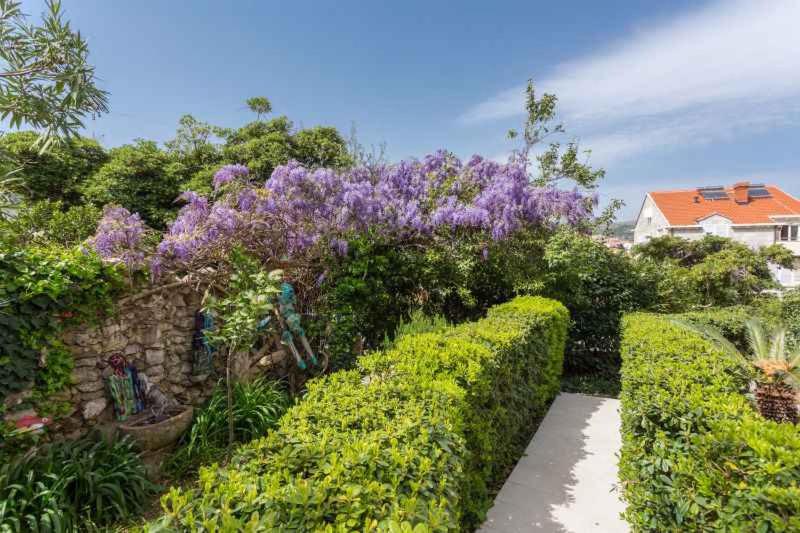 Apartment in Dubrovnik 43526