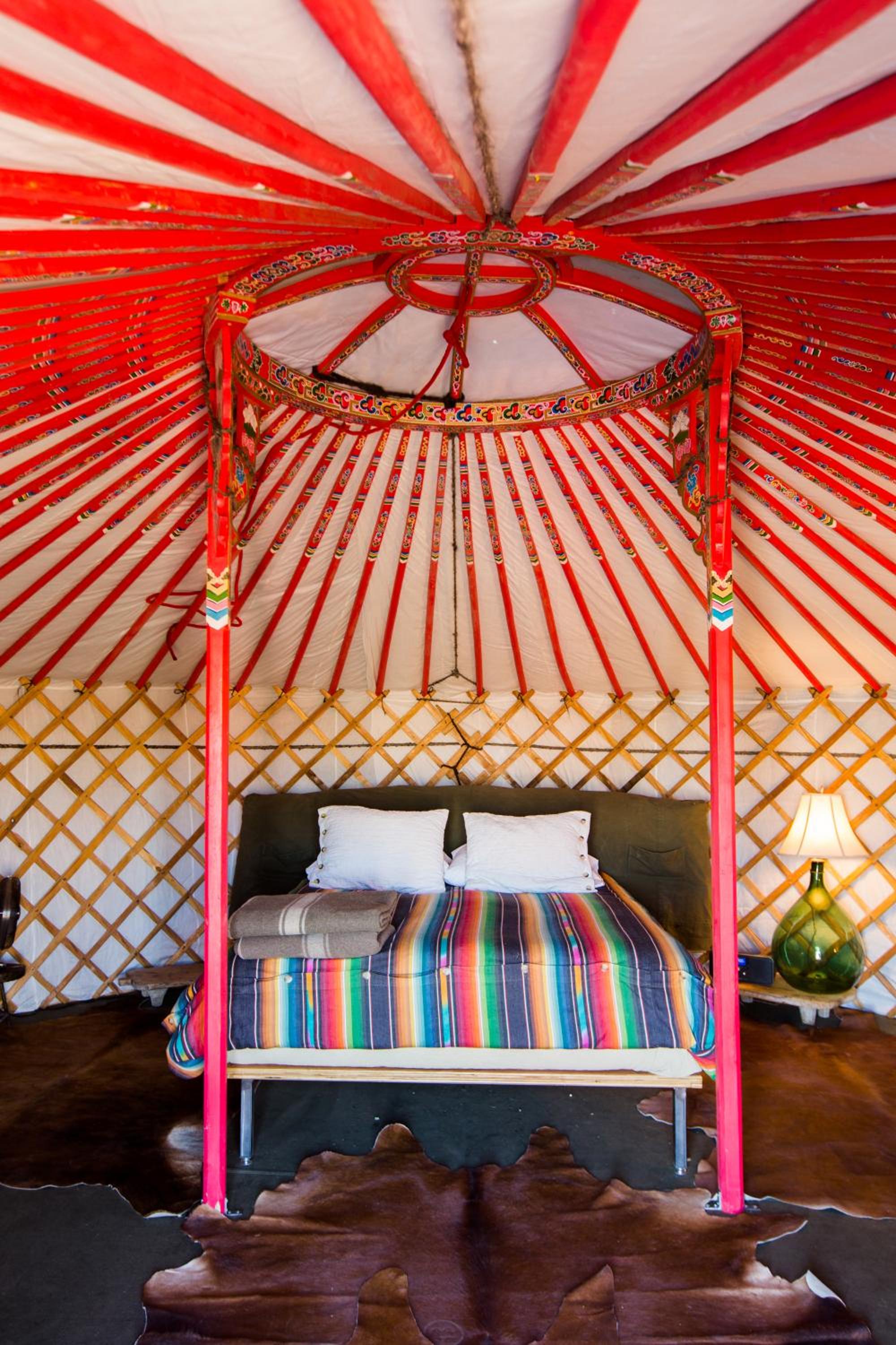 El Cosmico