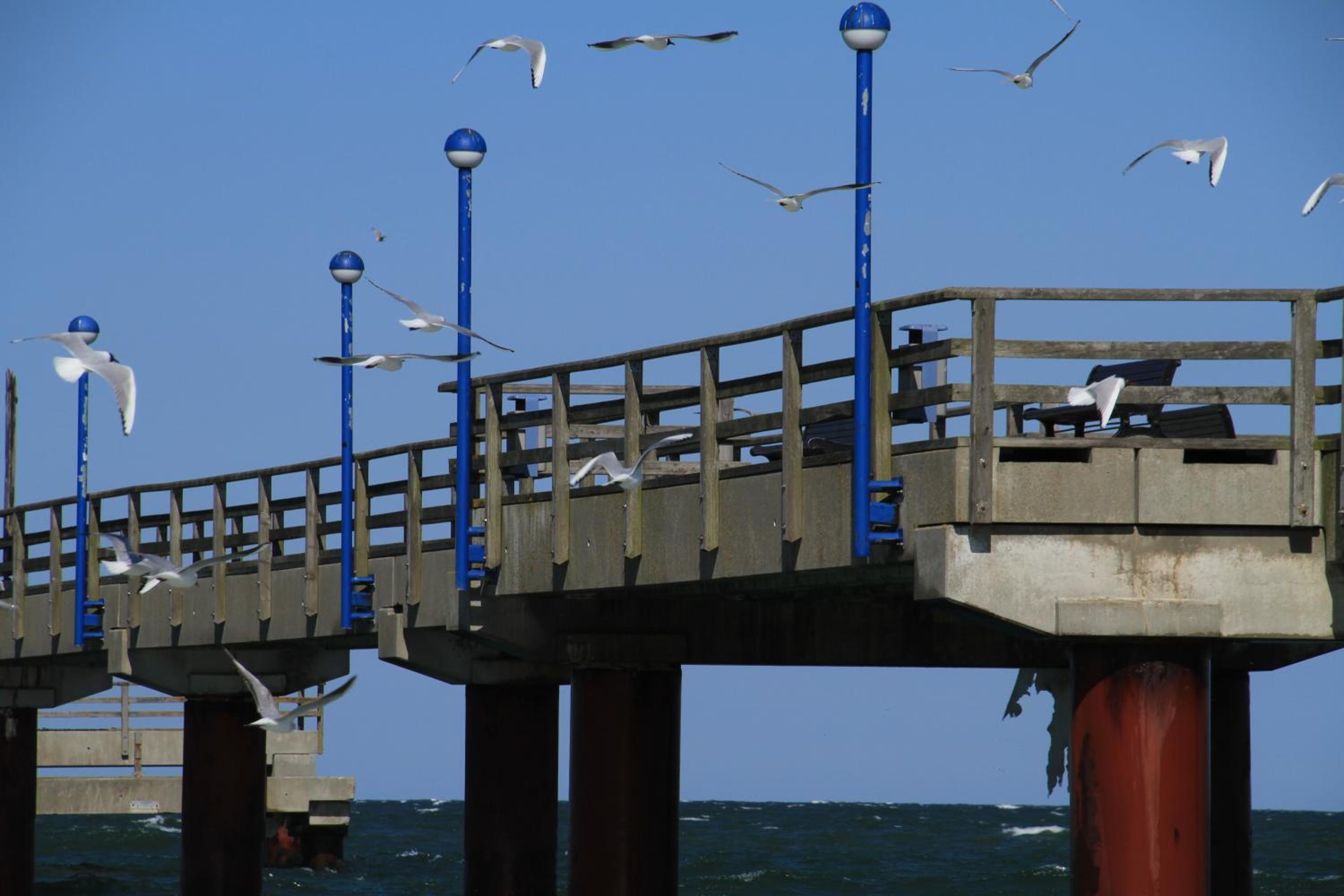 Pension Inselparadies Zingst