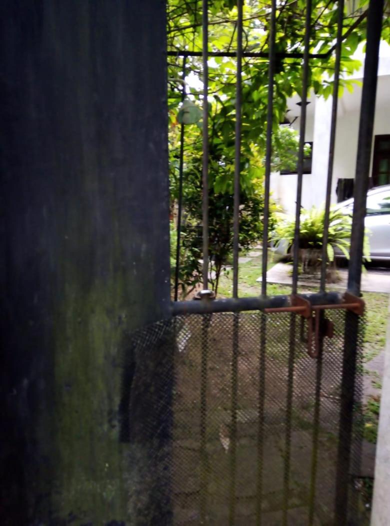 Photo 29