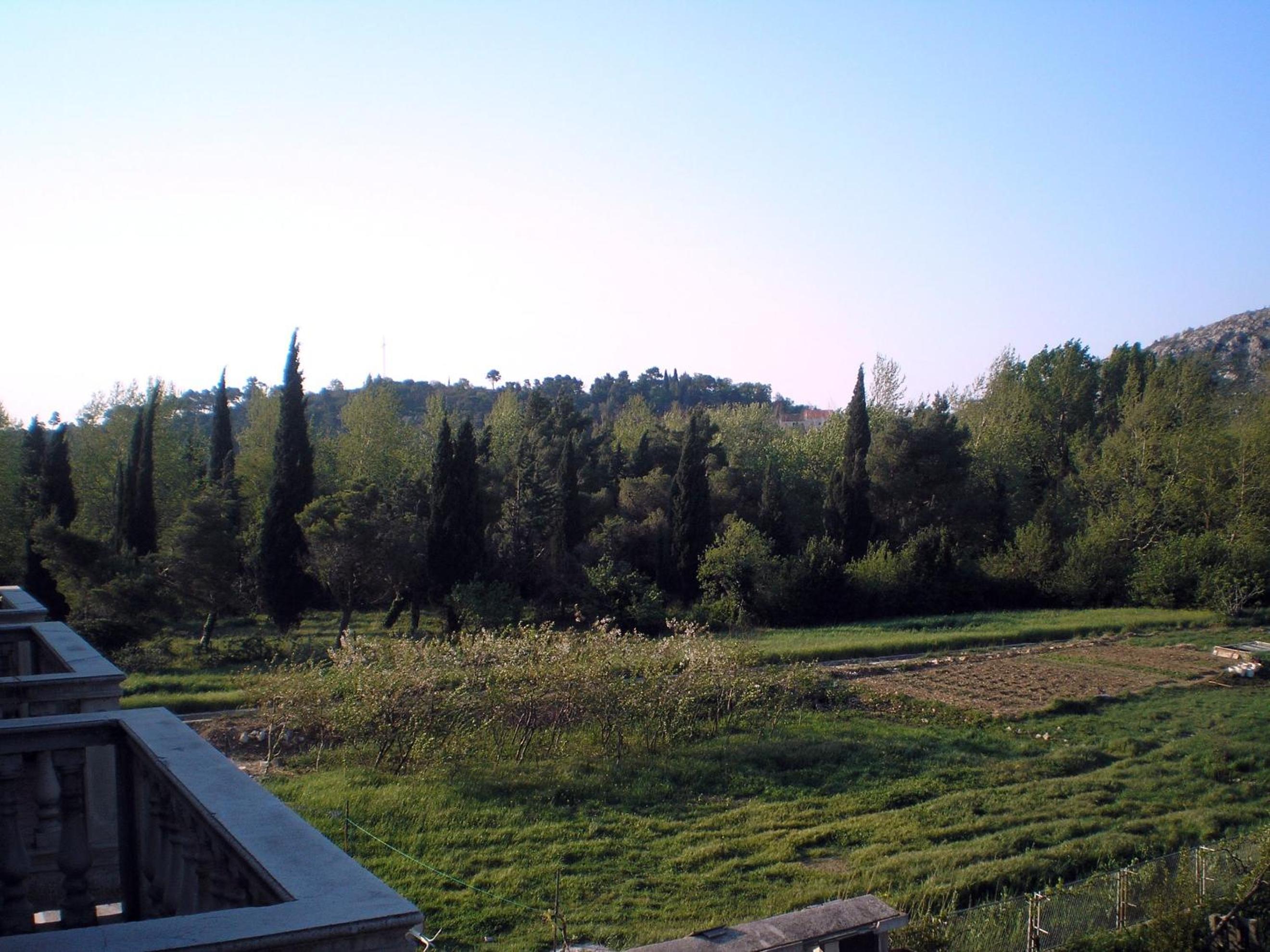 Photo 66