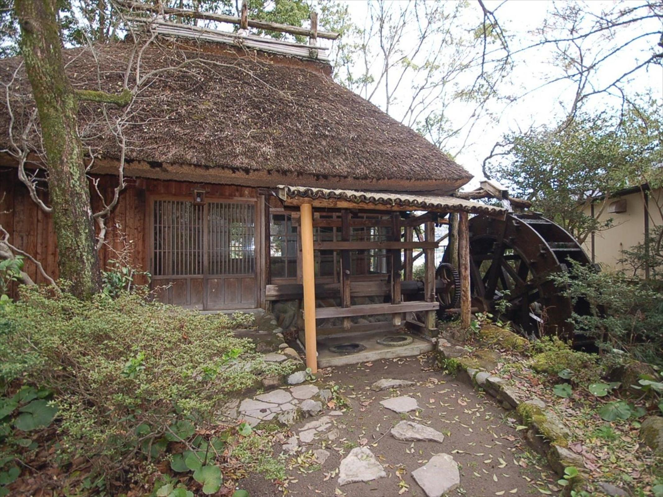 Photo 12