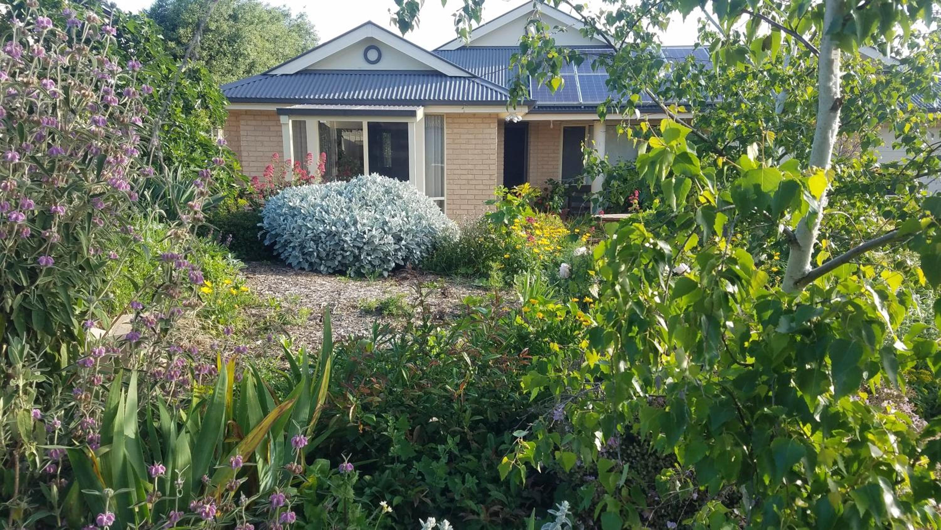 Blue Wren Retreat - Property Image 3