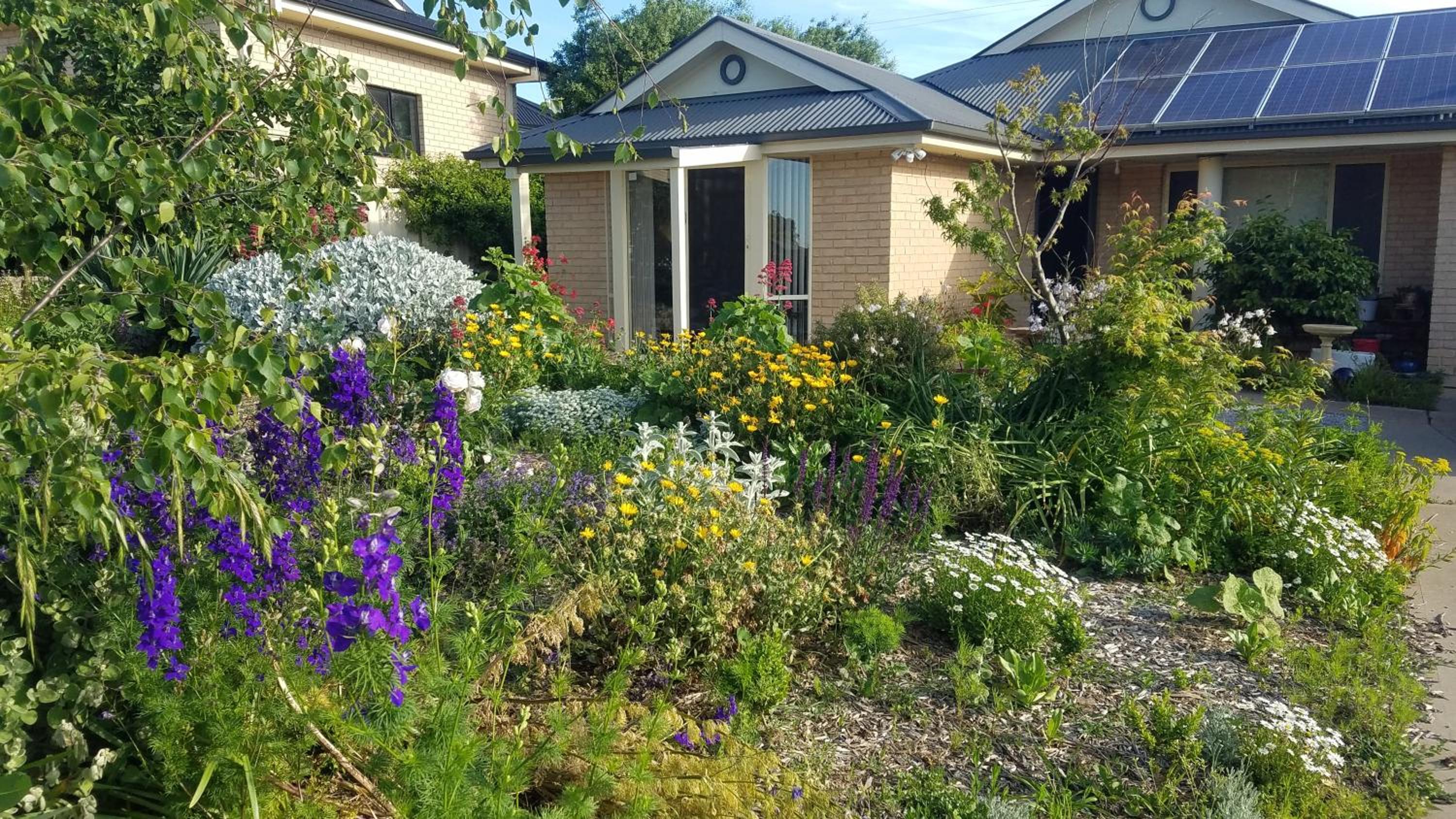 Blue Wren Retreat - Property Image 4