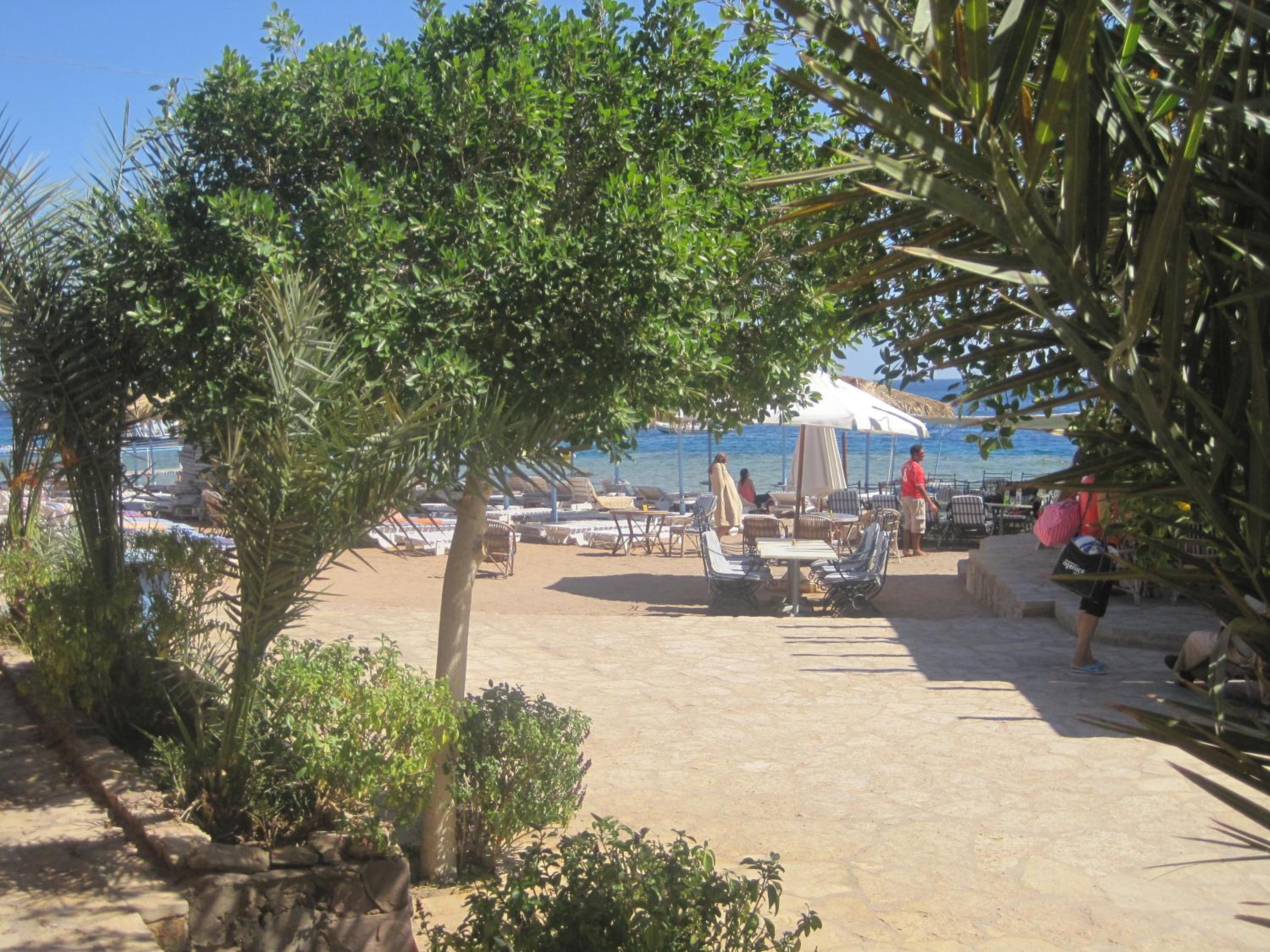 Umbi Sharks Bay Diving Village