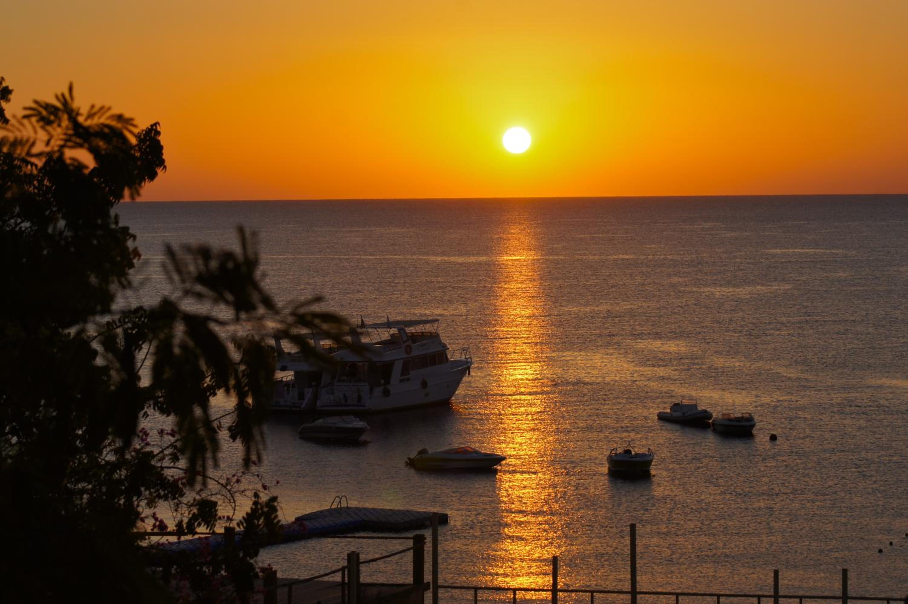 Umbi Sharks Bay Diving Village