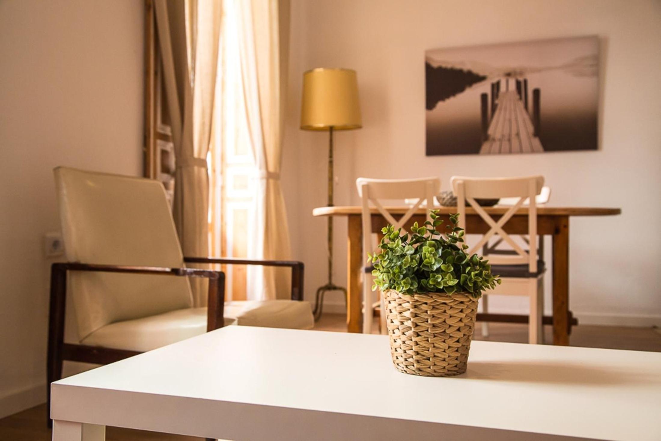 Apartamentos Catedral