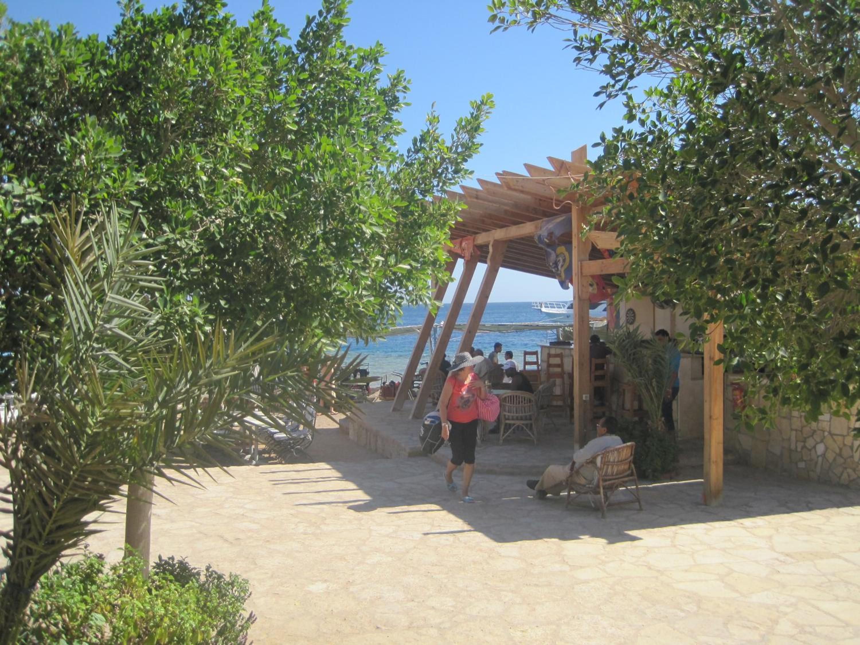 Umbi Sharks Bay Diving Village