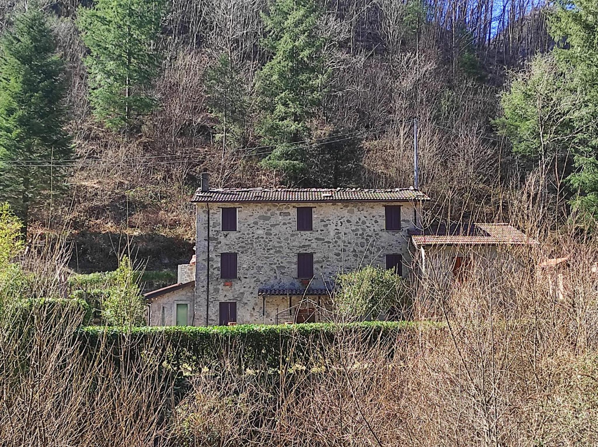 Casa Vacanze IL BOSCACCIO "Casa Serena"