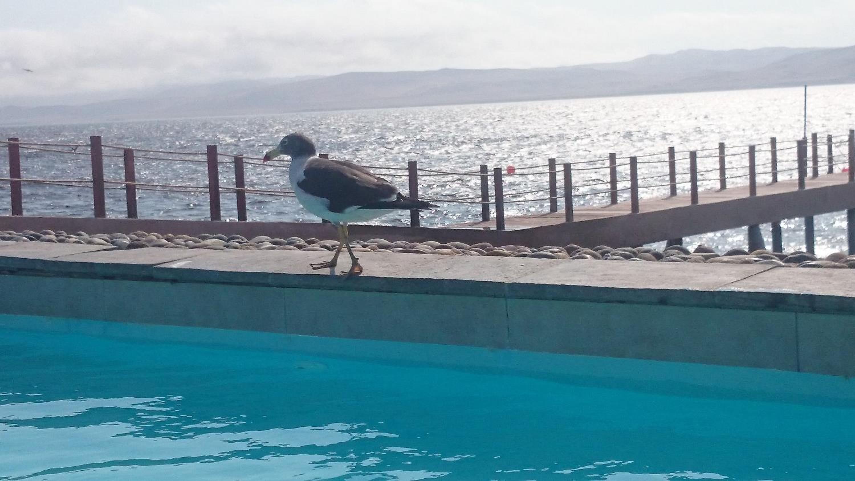 Nuevo Paracas Apartment view 4