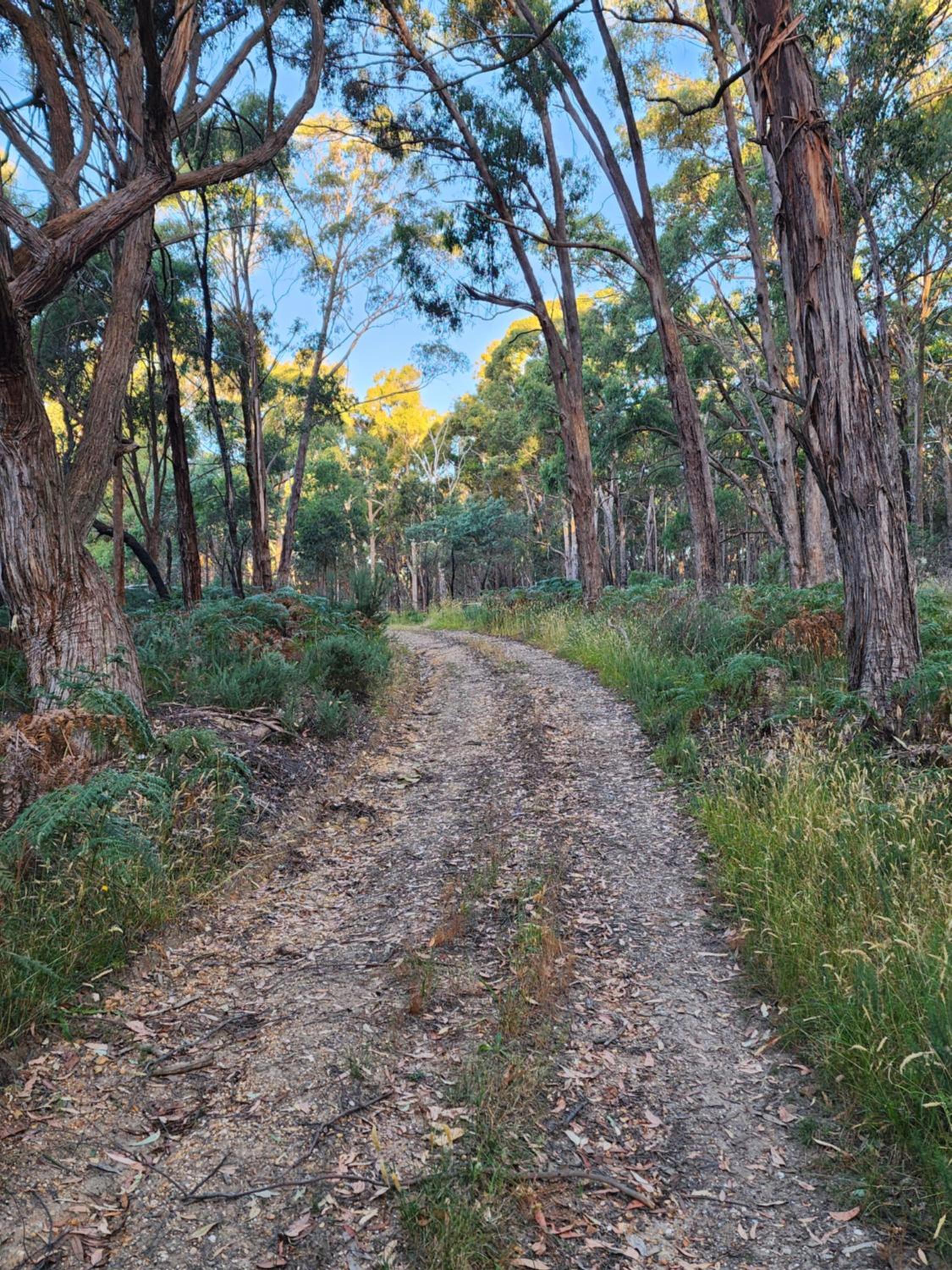 Daylesford FROG HOLLOW ESTATE- The Retreat - Newly renovated ONE BEDROOM RETREAT with Queen Bed