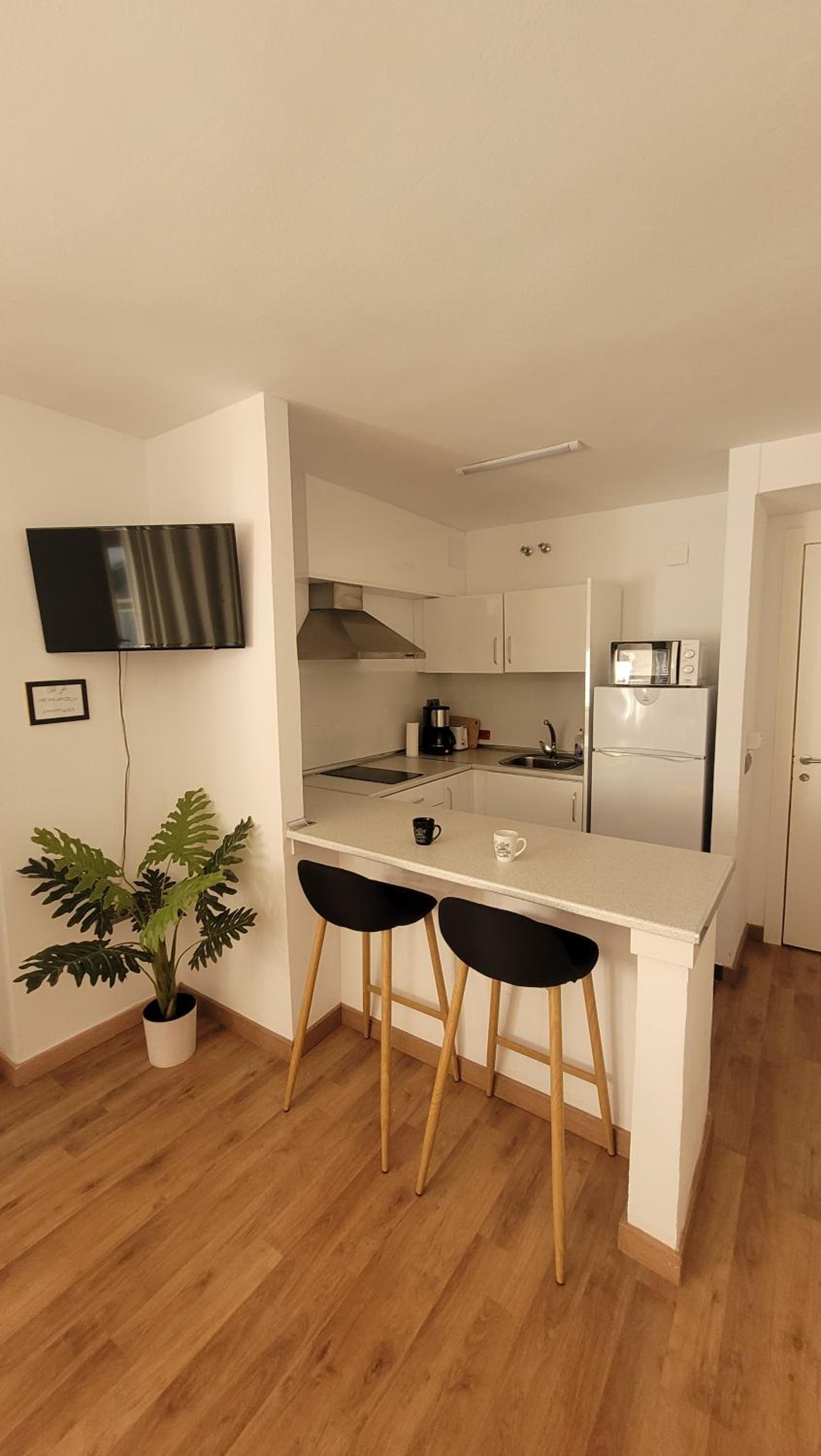 PLATAN Apartment