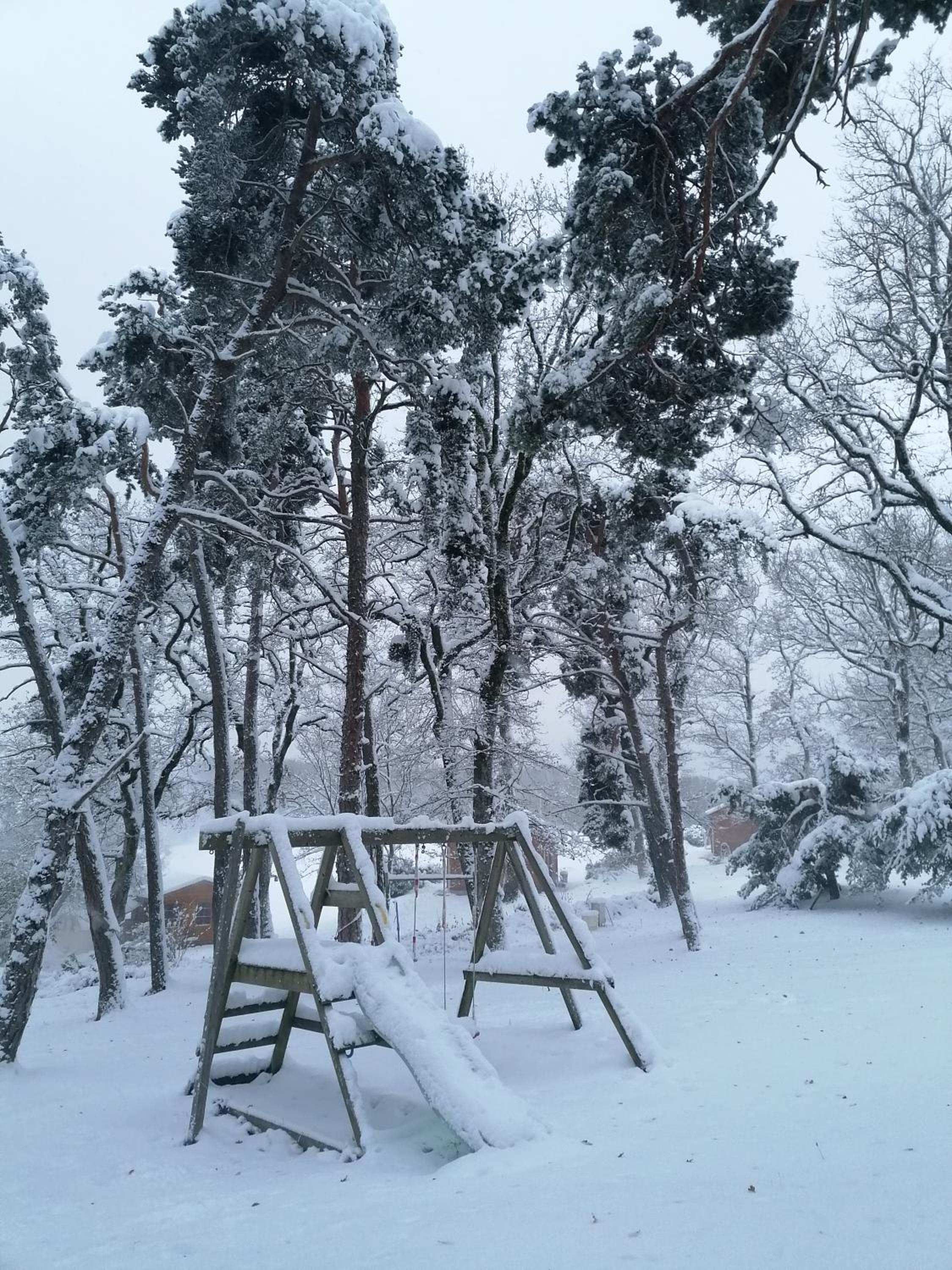Chalets du Bois de Vache view 2