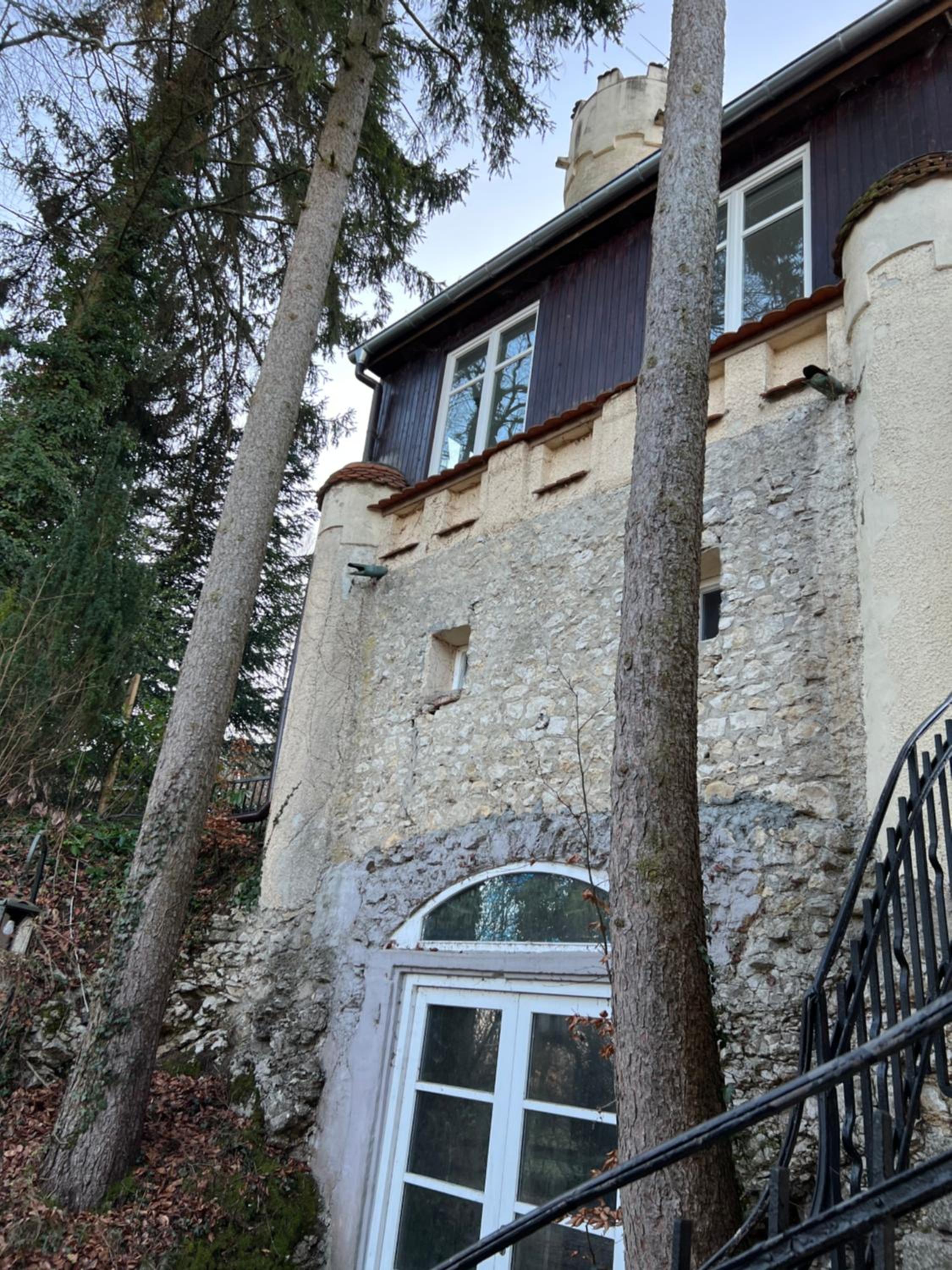 Photo 19