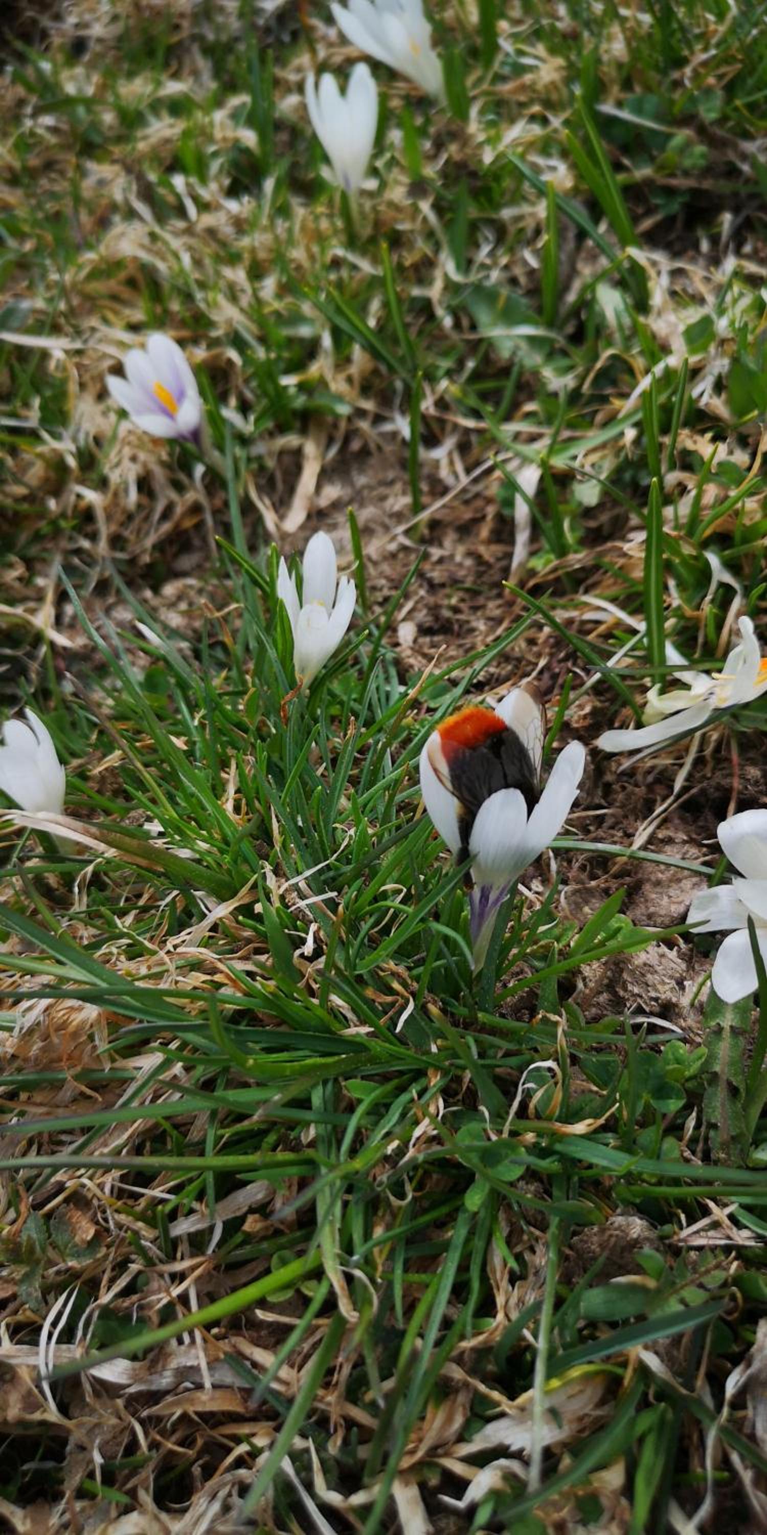 Kiara 7, photo 35