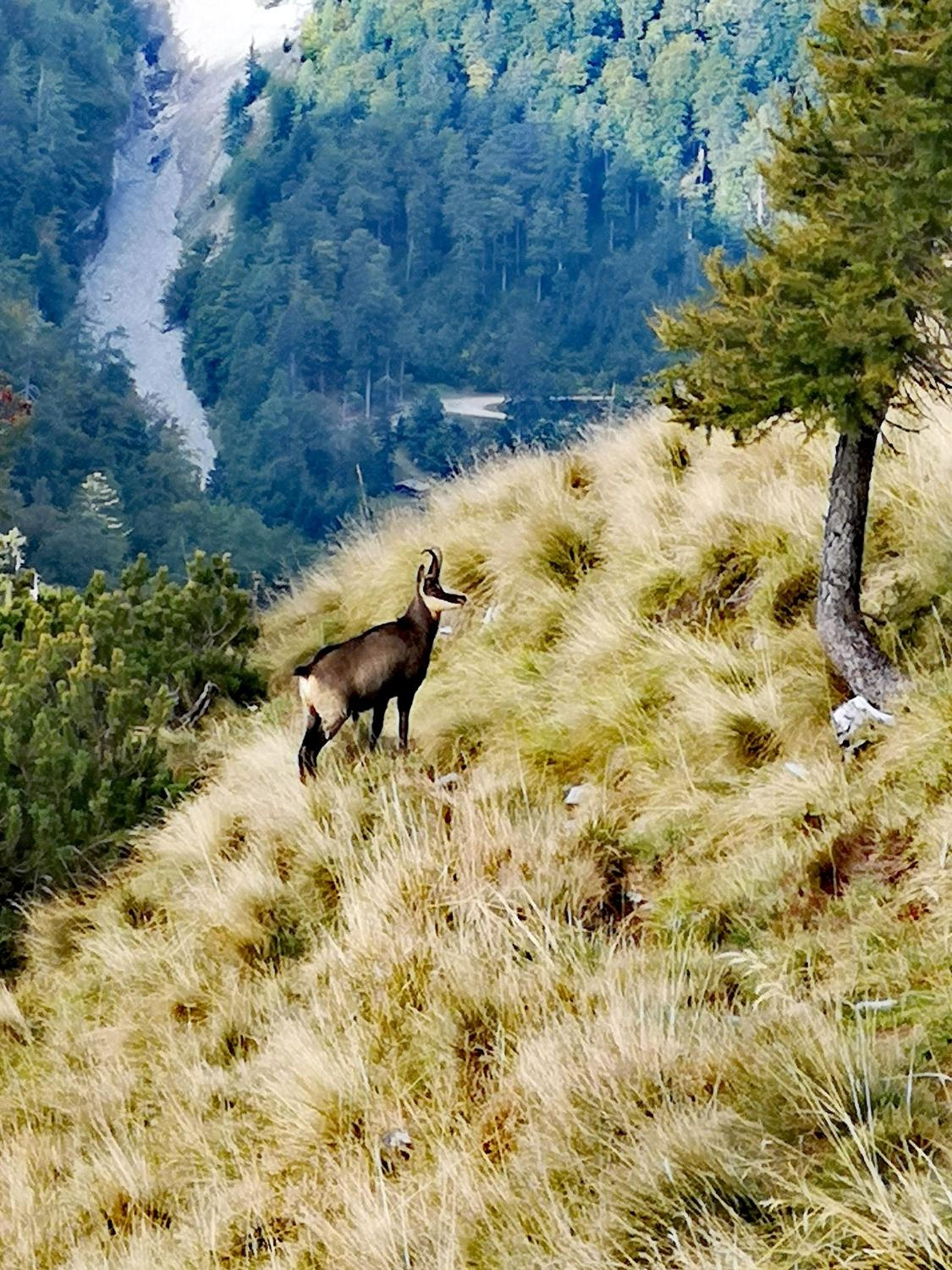 Kiara 7, photo 28