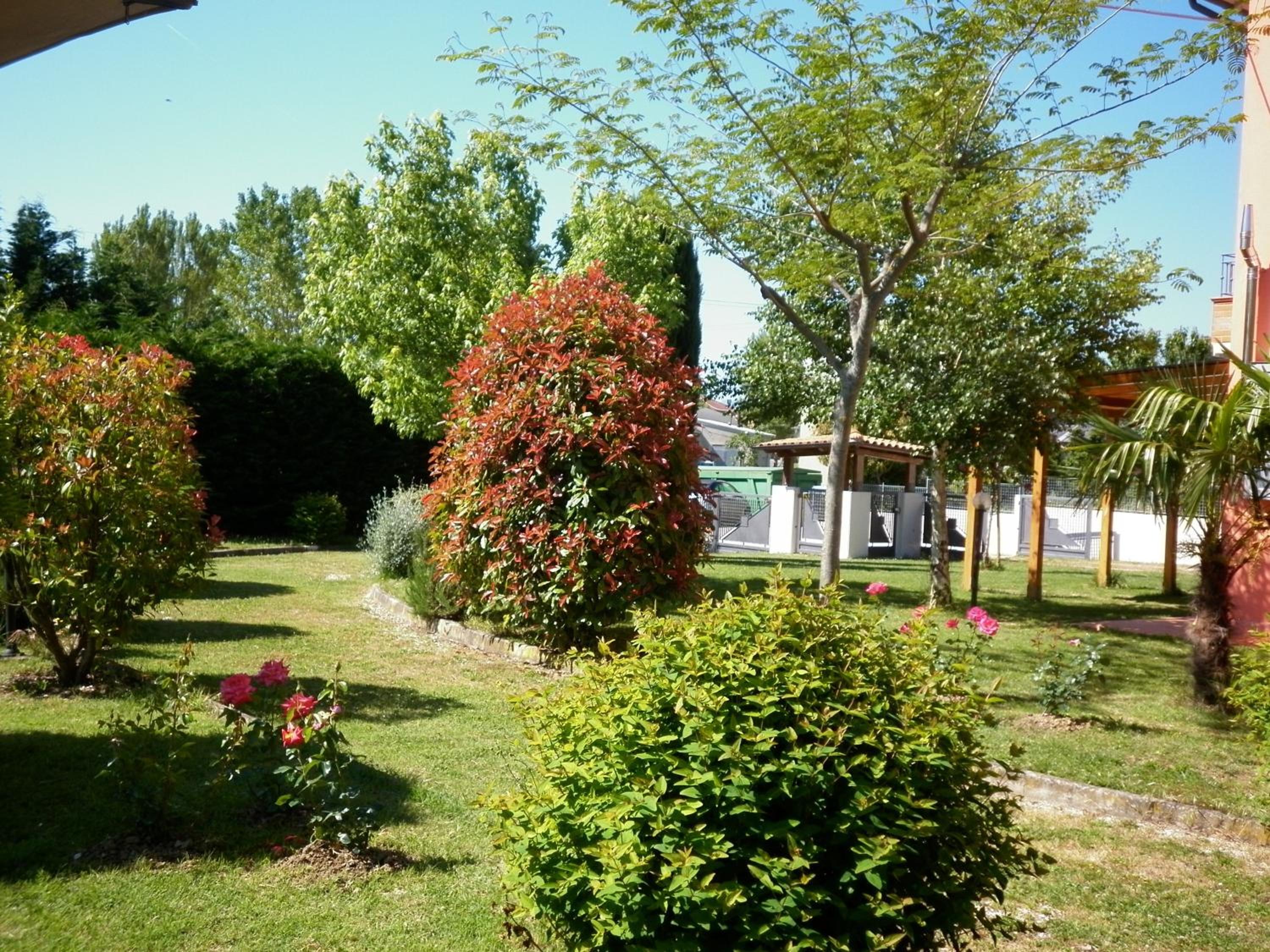 Photo 36