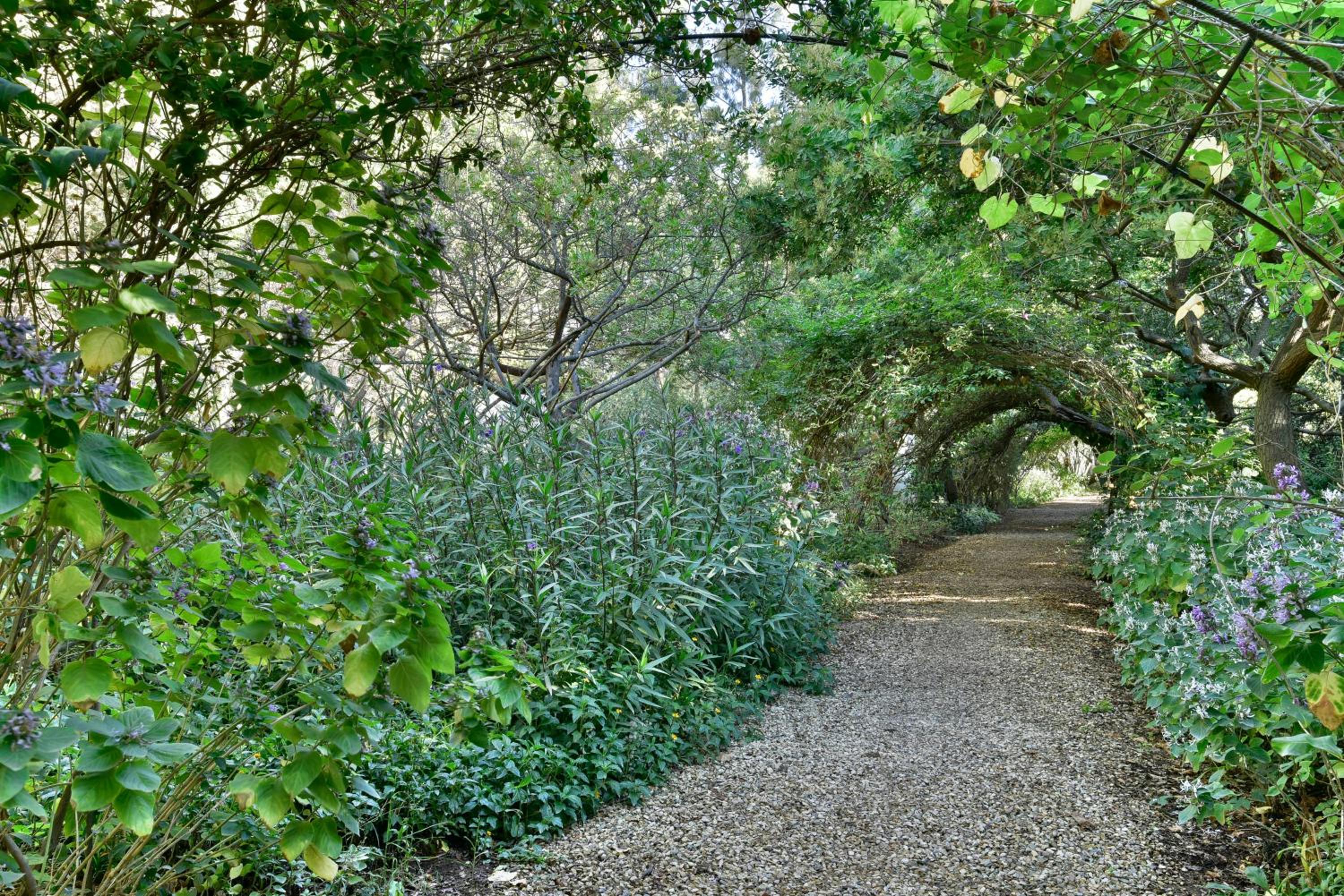 Temenos Retreat