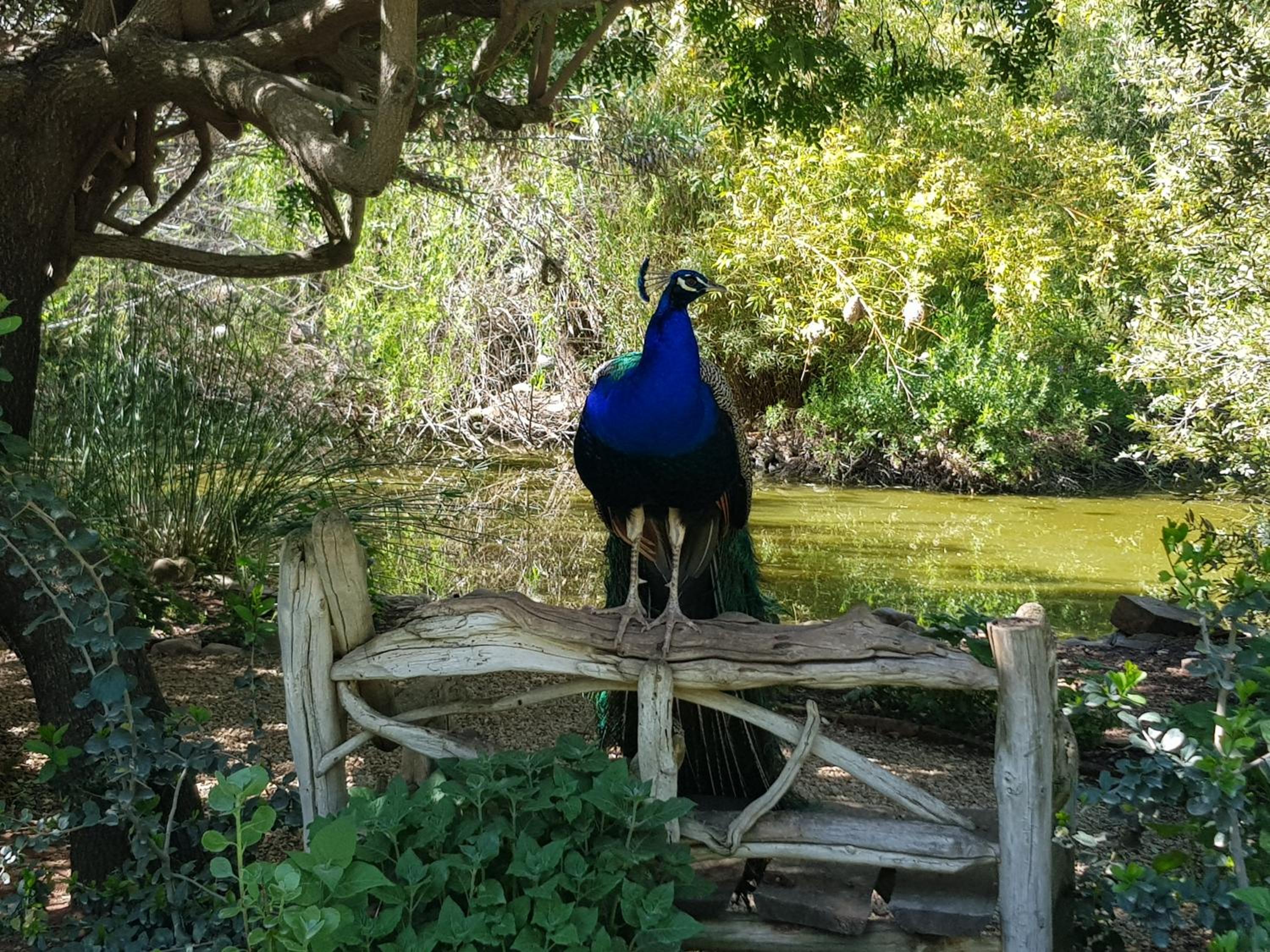 Temenos Retreat